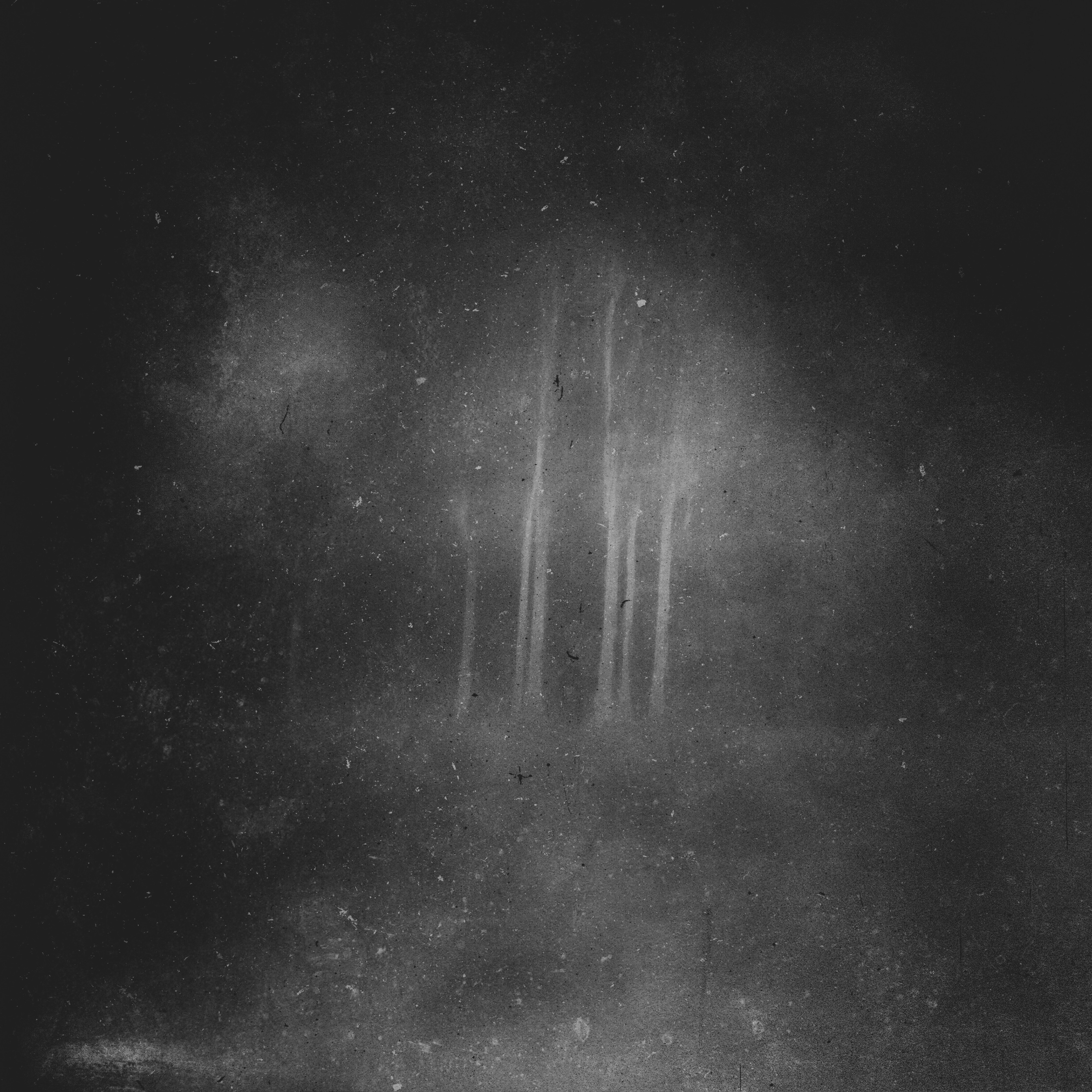 The Copse