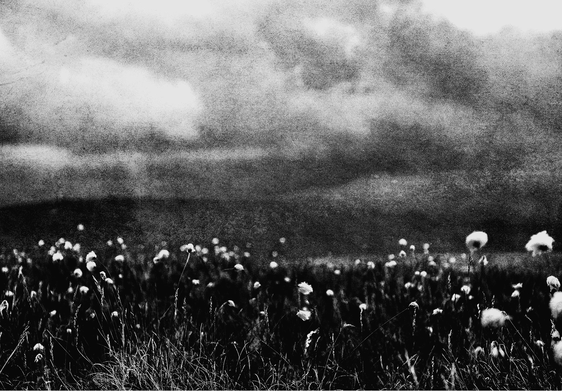 Reverie