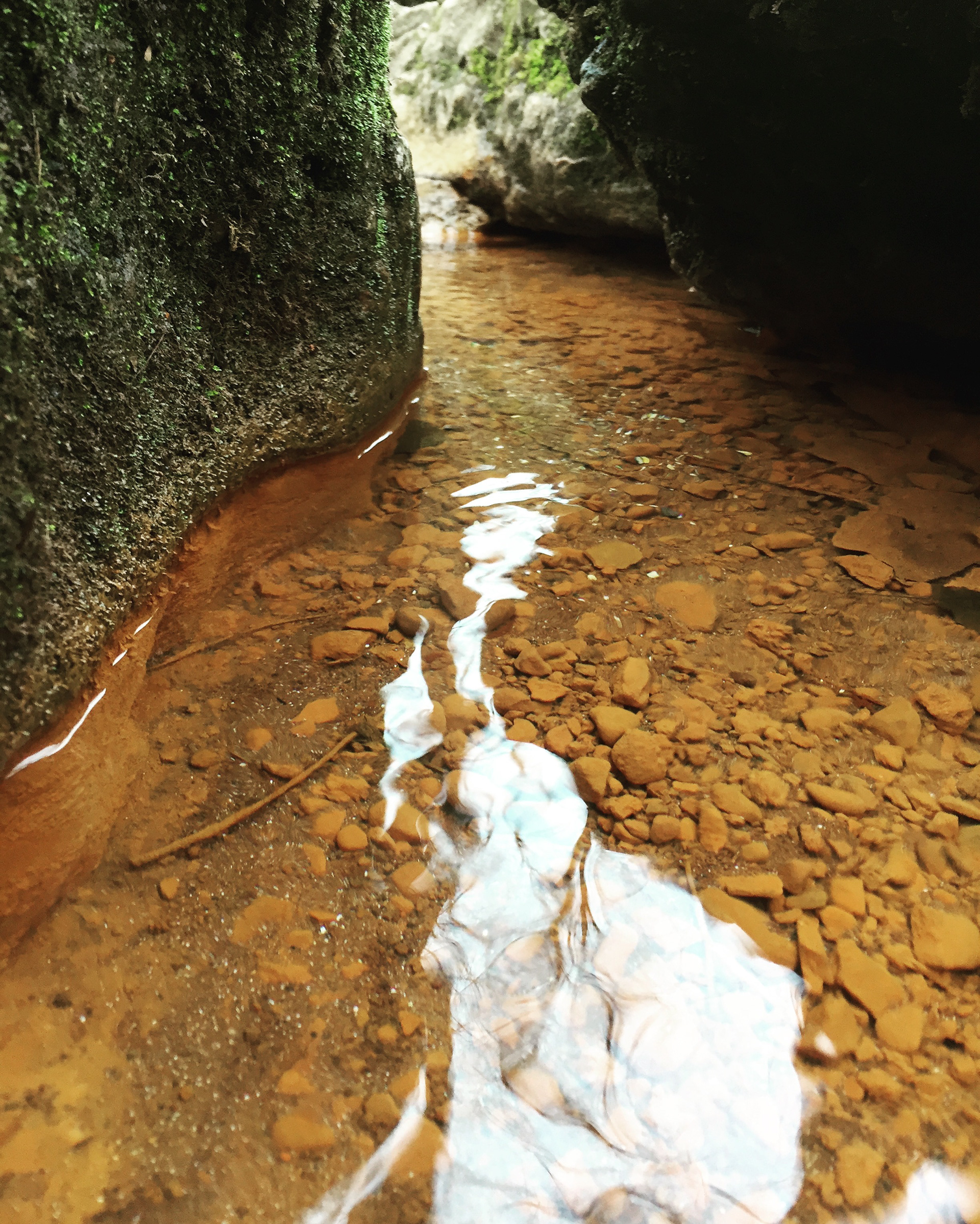 Yellow Springs, OH, 2016