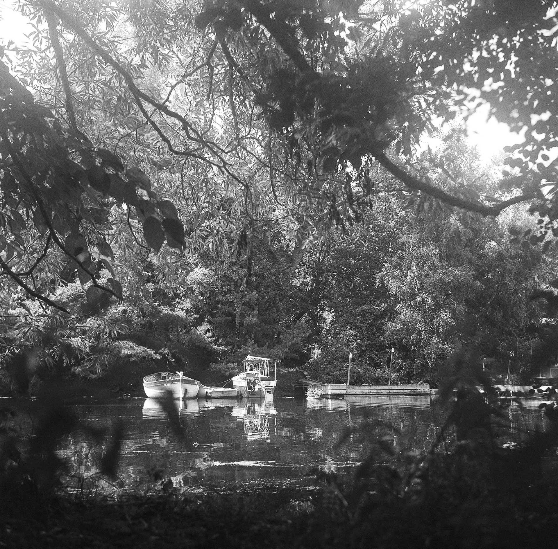 Flexaret Va. Kodak Tri-X + blue filter.