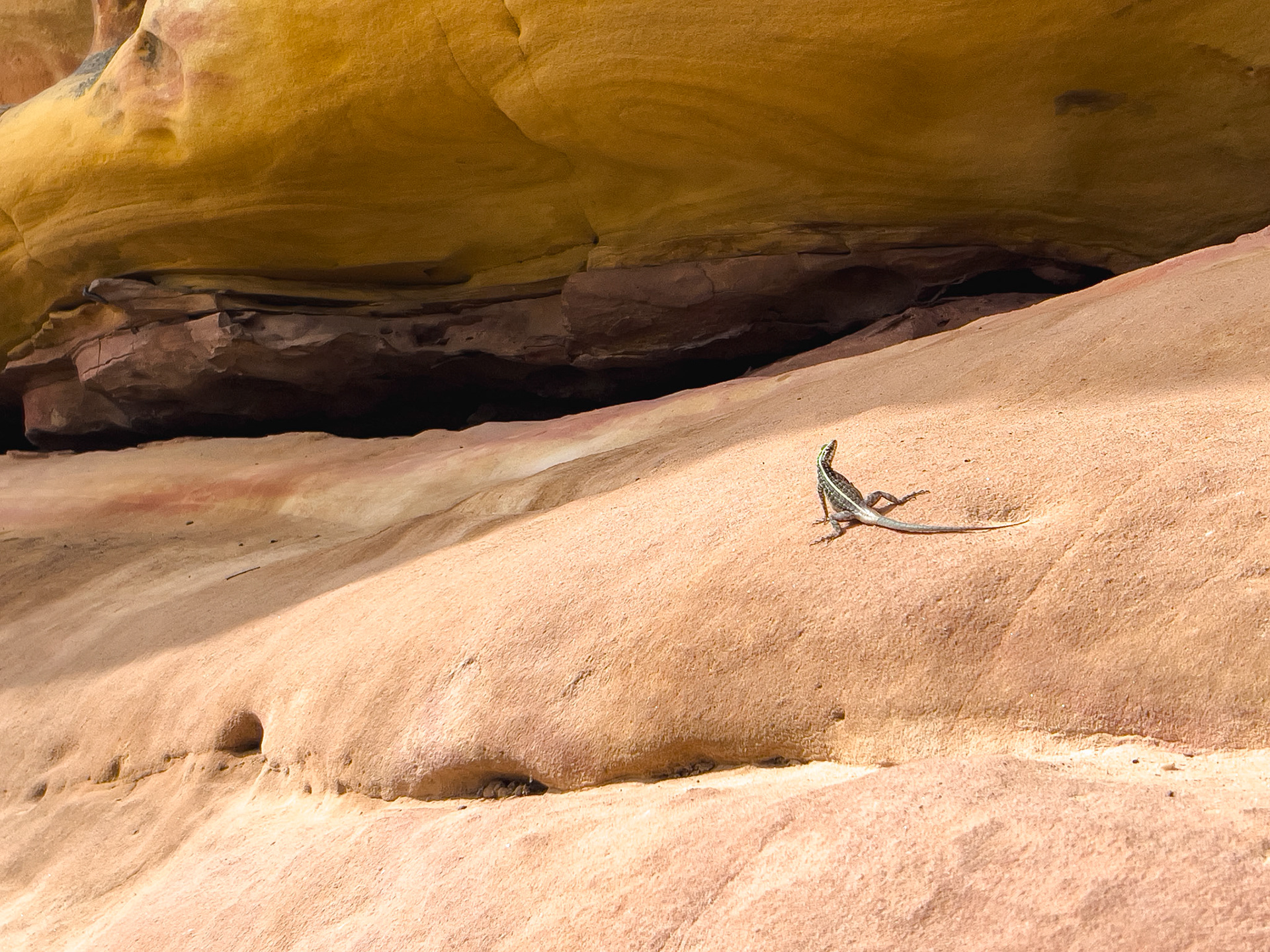 PARTE 1, AS TEXTURAS. A formação geológica do Catimbau é única, proveniente de milhões de anos. Suas rochas sedimentares e construções são berço para um mar de texturas que abraçam os olhos de quem vê atentamente.