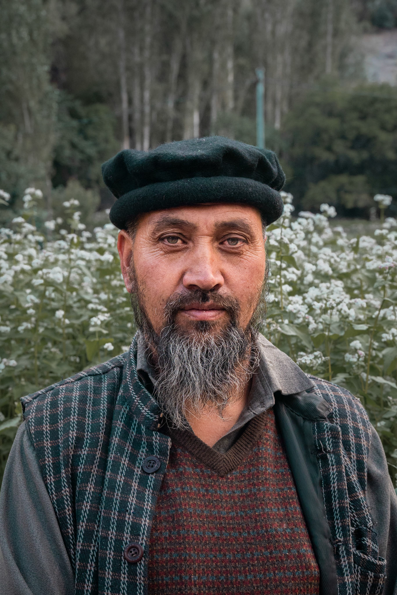 BALTISTANI. Balthic India, 2023