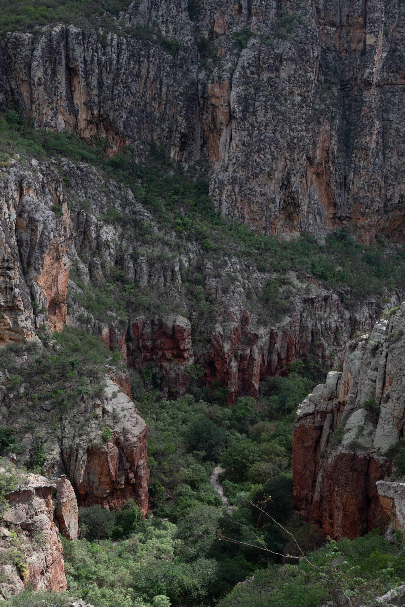 UNTITLED/SEM TITULO. Vale do Catimbau, 2024