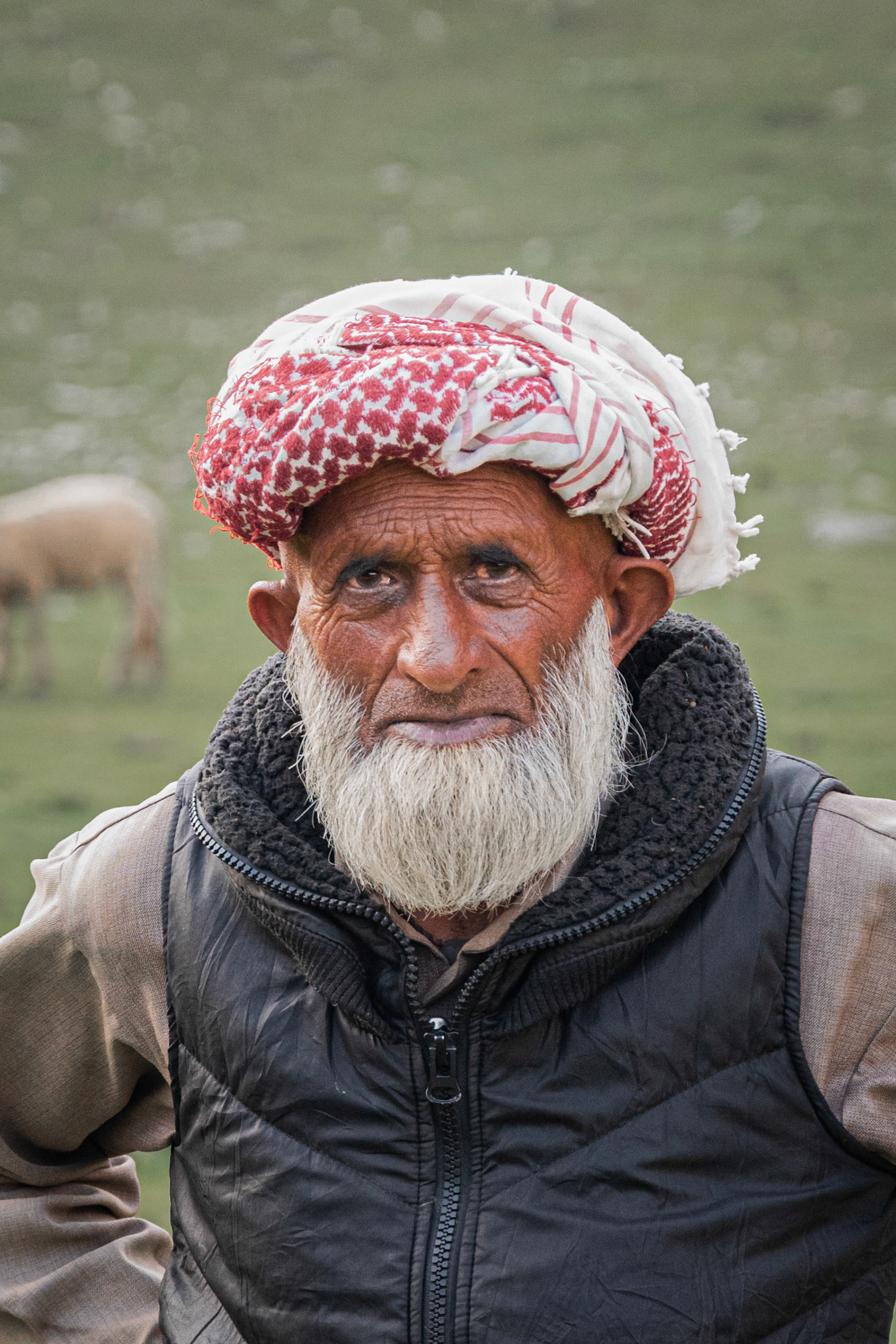 KASHMIRI II. Kashmir, 2023