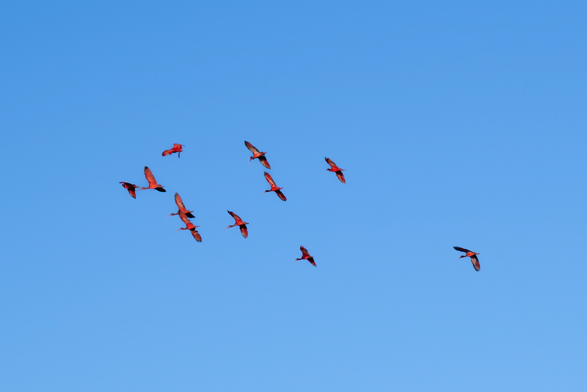 REVOADA I. Lencois Maranhenses, 2023