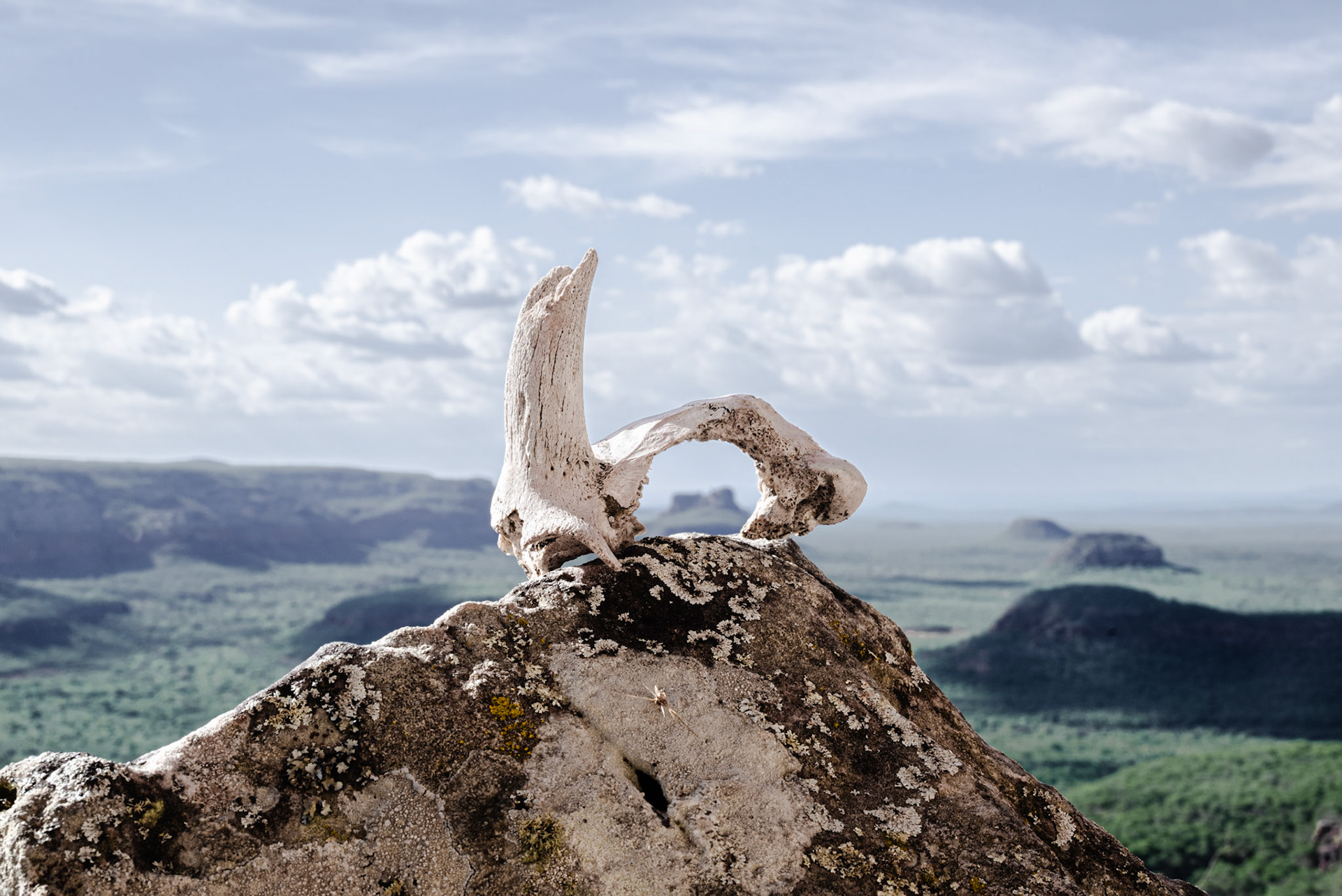 LAMPIAO PASSOU AQUI. Vale do Catimbau, 2024. Reza a lenda local que perto de um grande mirante havia uma furna que Lampião e sua turma se escondia para dormir, mas ninguém sabia onde era. Essa história passou de bisavô para avô, avô para pai e finalmente de pai para filho. Setenta anos depois, a furna foi encontrada com as mesmas características da história transgeracional. Se é a própria ou não, não há ninguém que possa dizer.Escondida abaixo de outra furna a mais de 20km de qualquer vilarejo próximo, a vista privilegiada avisava Lampião com antecedência se desconhecidos passavam por ali.