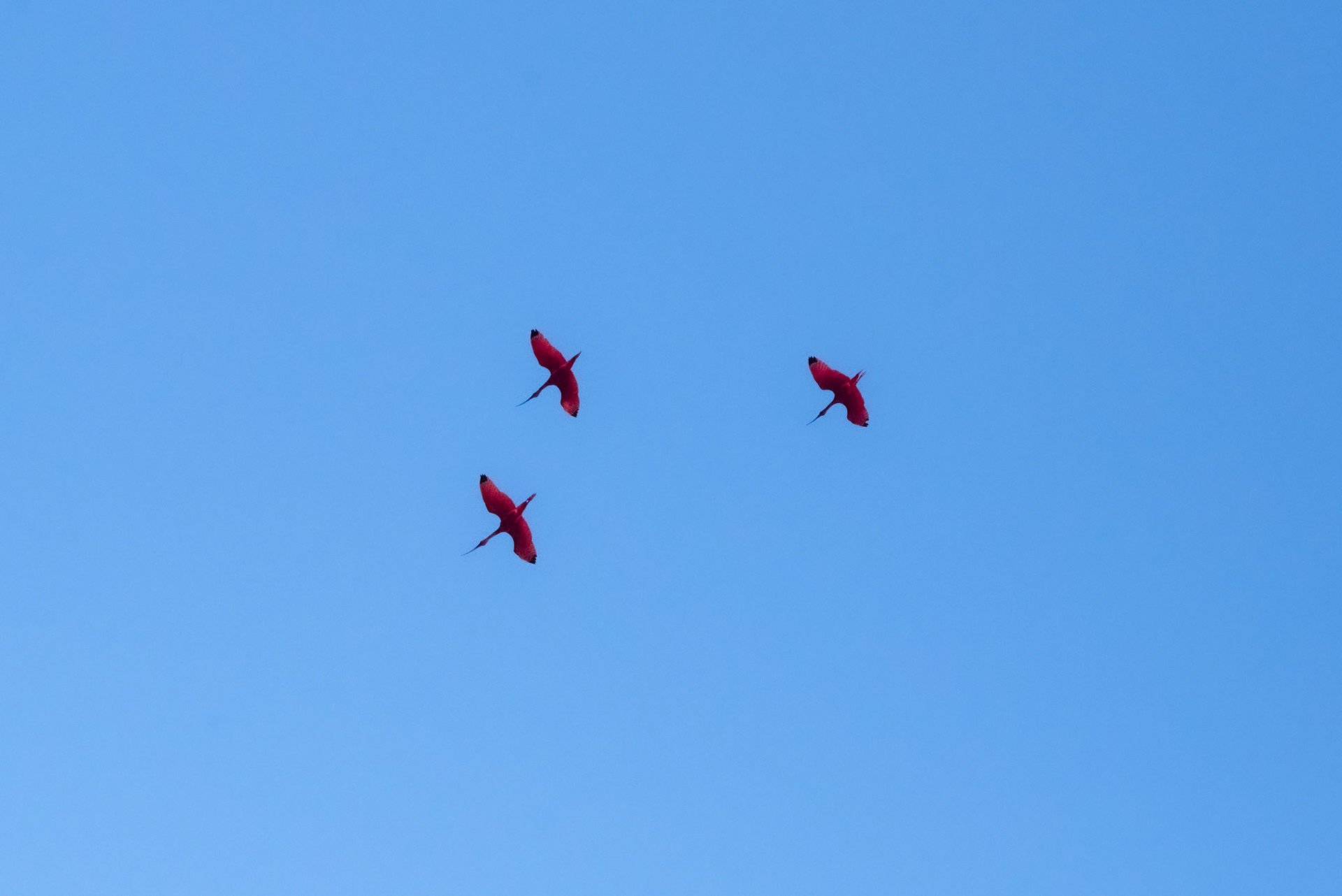 REVOADA IV. Lencois Maranhenses, 2023