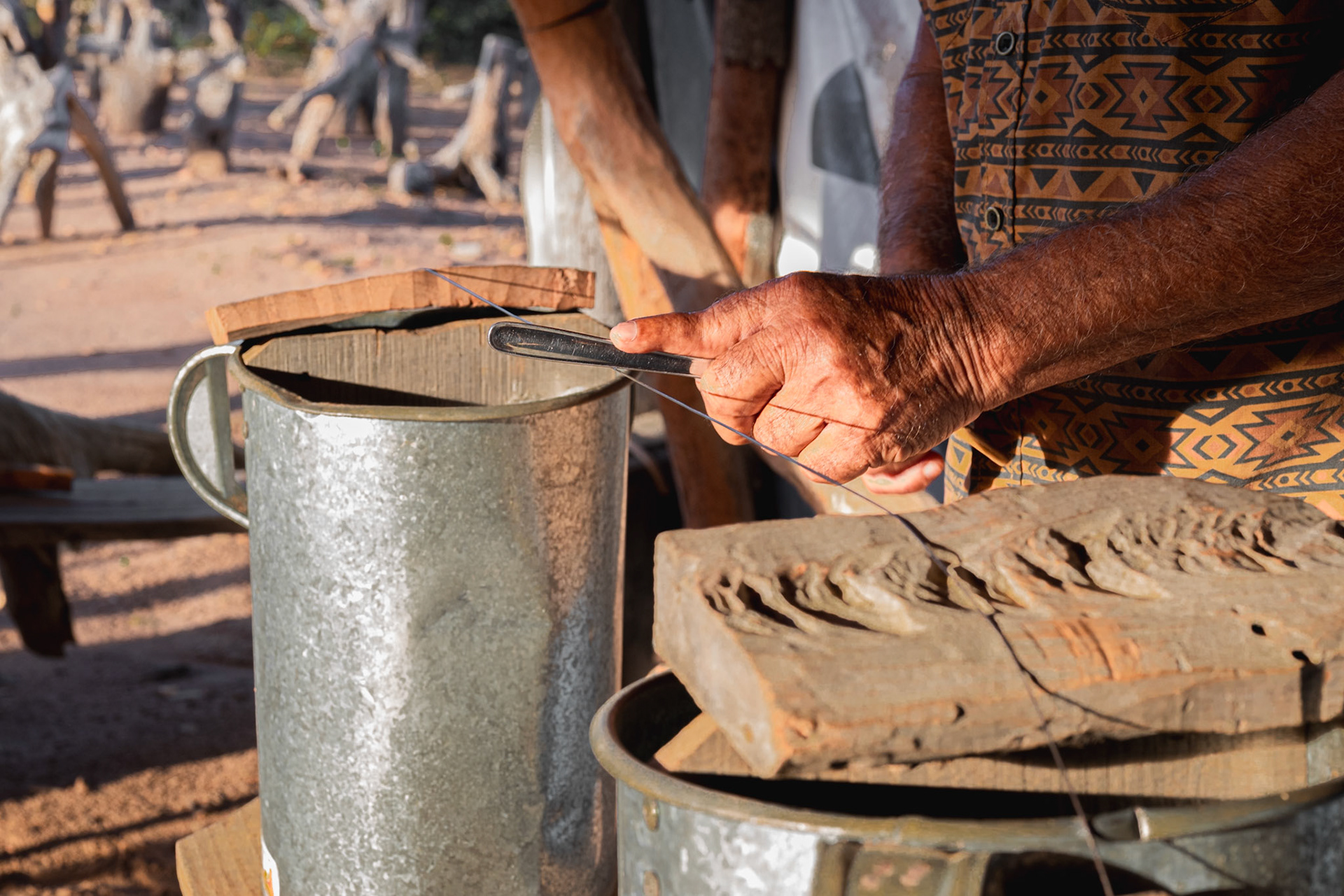 O BERIMBAU FORROZEIRO. Vale do Catimbau, 2024