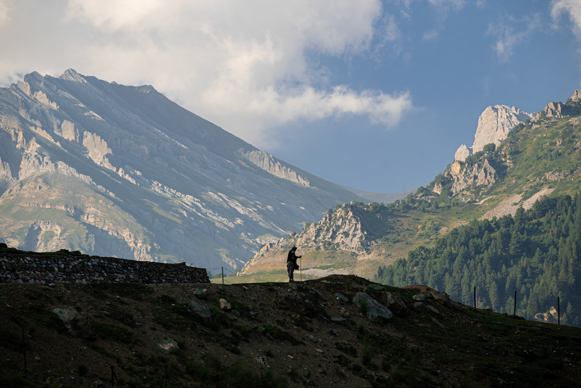 KASHMIRI. Kashmir, 2023