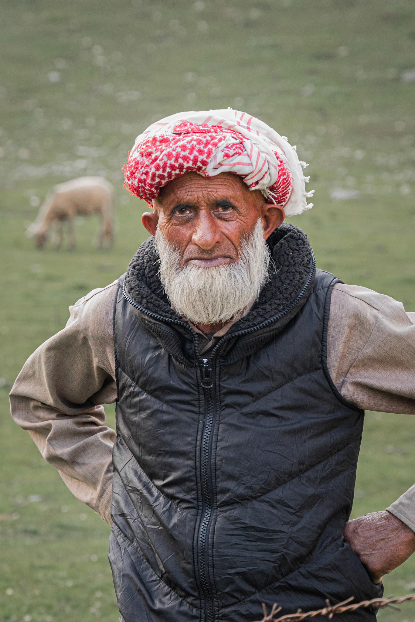 KASHMIRI II. Kashmir, 2023