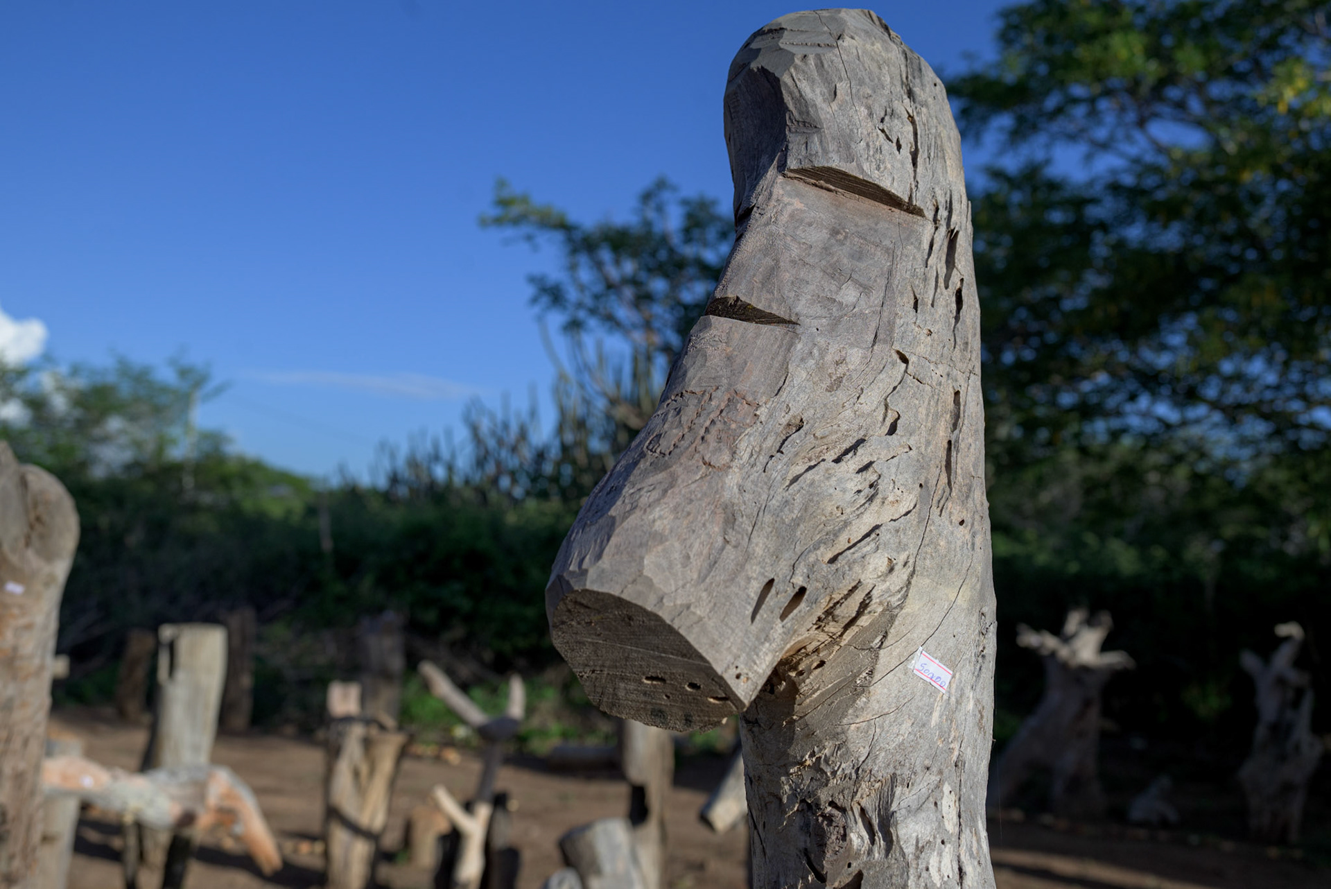AS ESTATUAS DE ZE. Vale do Catimbau, 2024