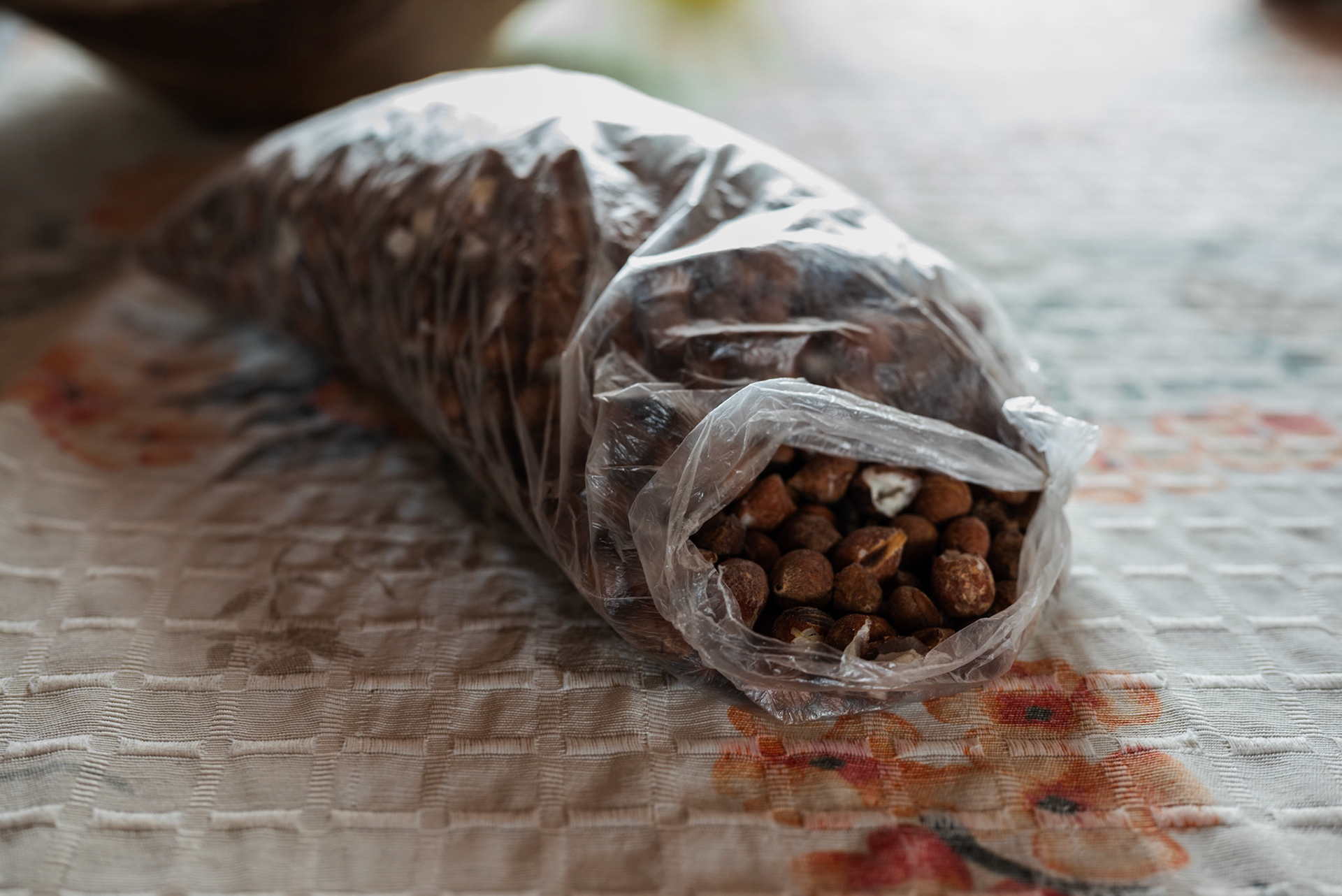 SEMENTES DE COQUINHO. Vale do Catimbau, 2024