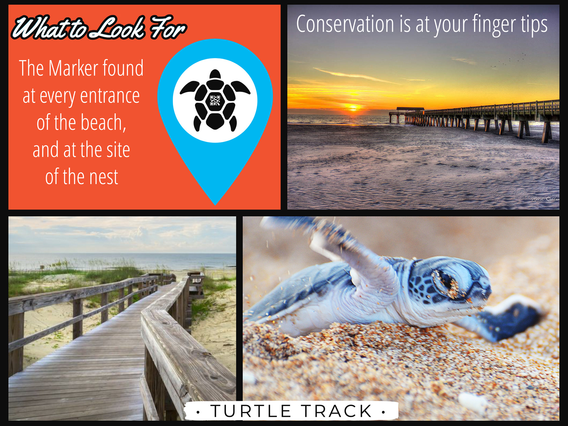 Conservation can be achieveable if everyone works together.