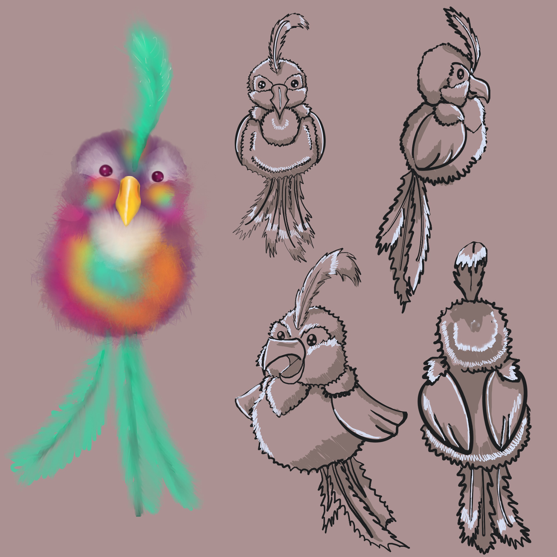 A small, poofy, vibrantly colored bird with neon pastels. To the right are four different views of the bird in line drawn format.