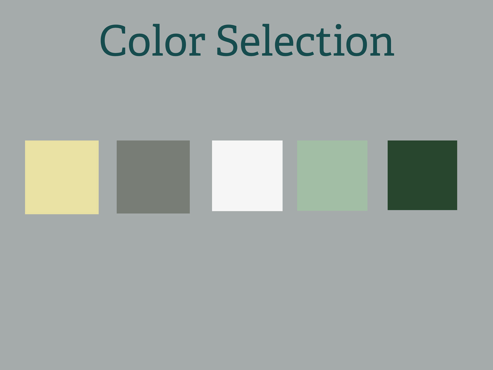 Final Color Selection