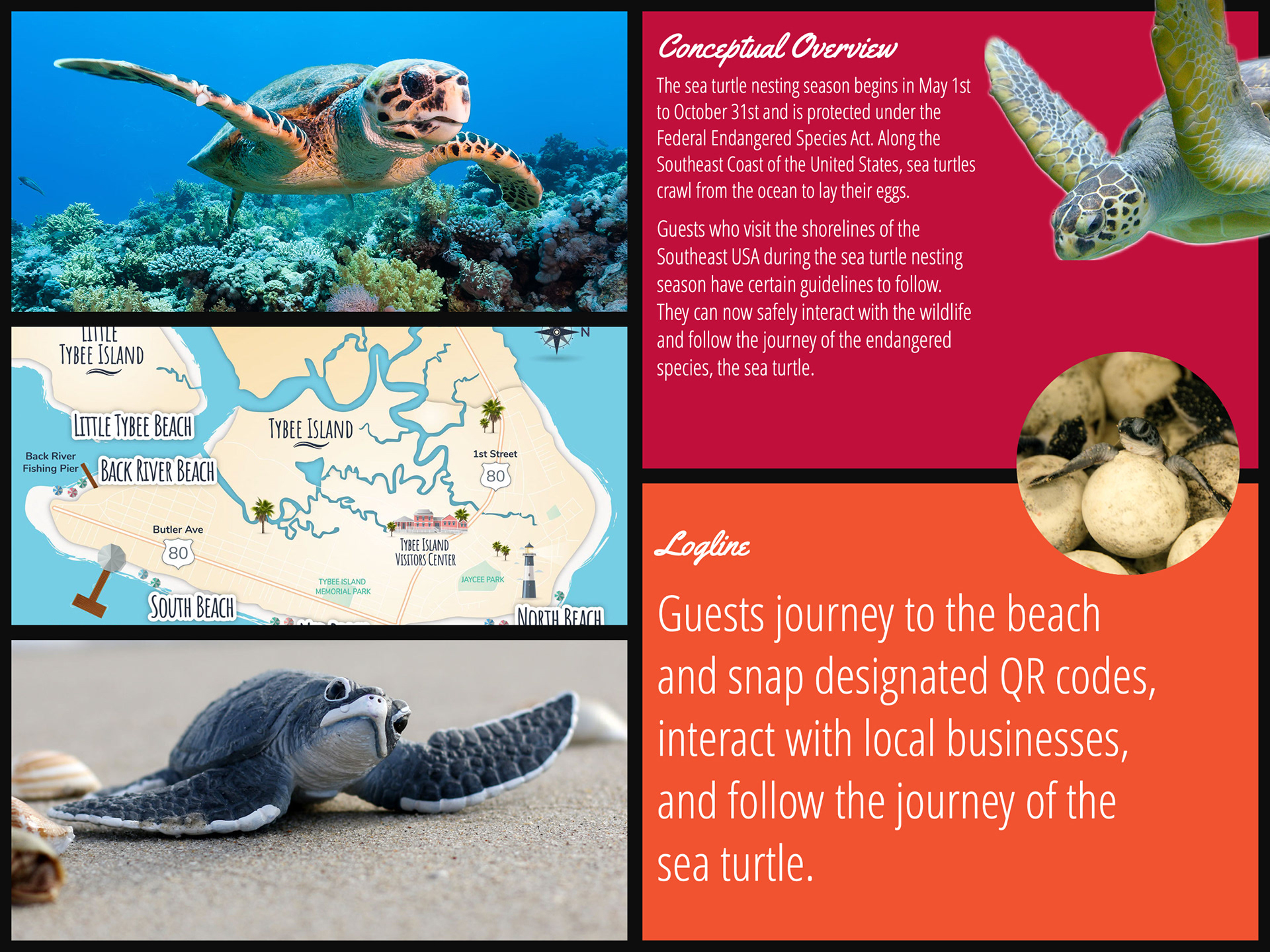 Conceptual Overview and Logline of the Activity.