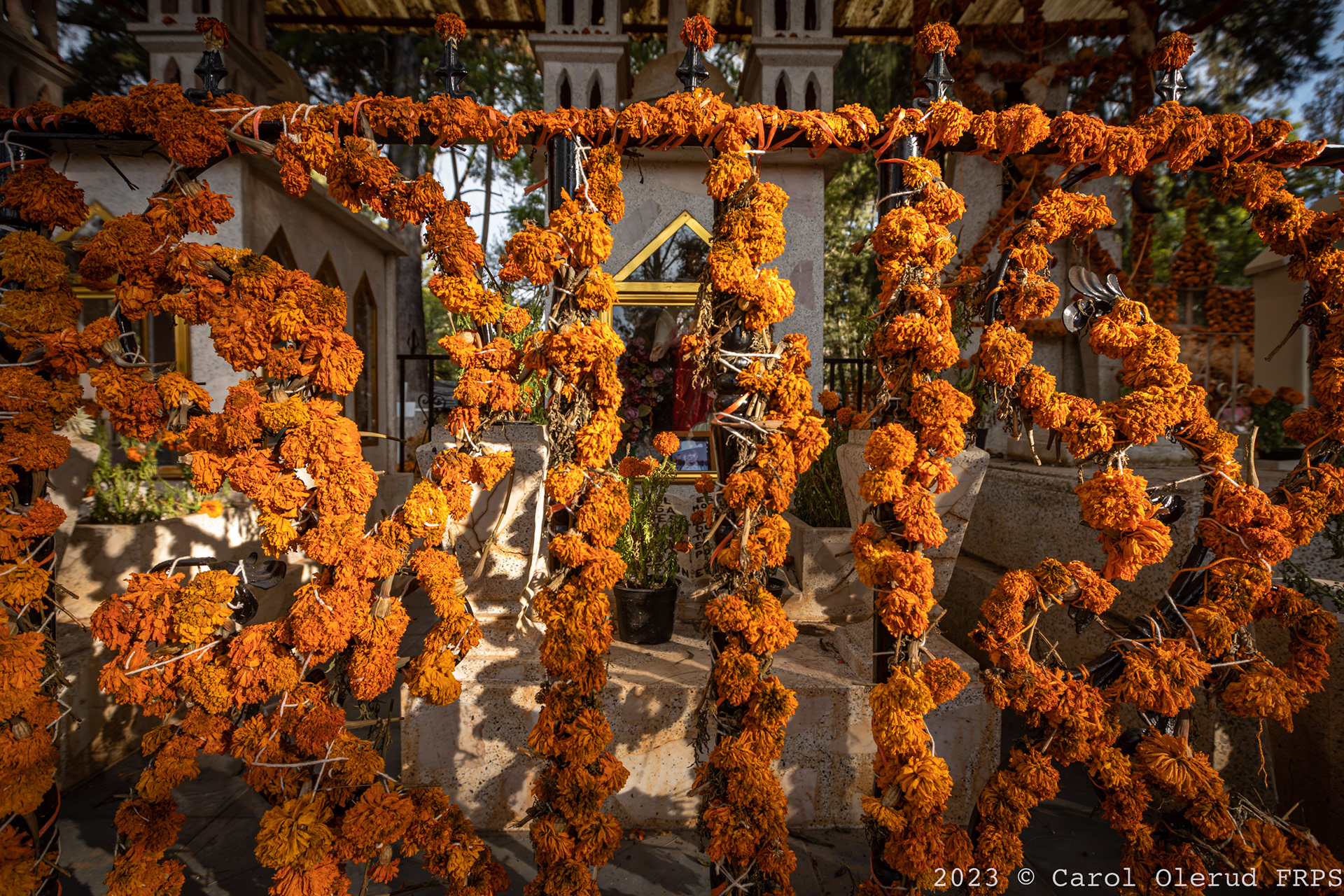 Carol Olerud - Tzintzuntzan, Michoacán, Mexico