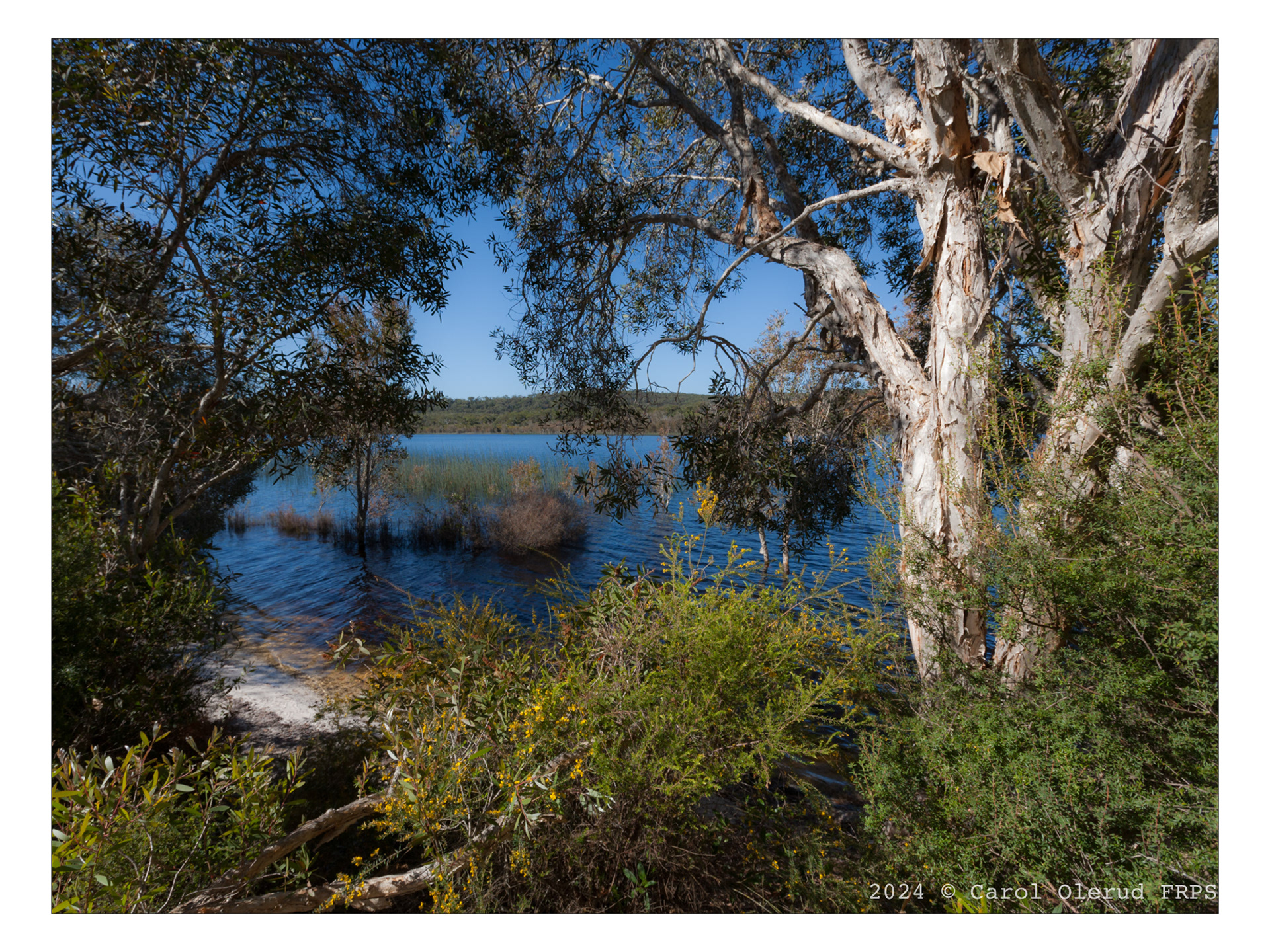 Brown Lake at Straddie