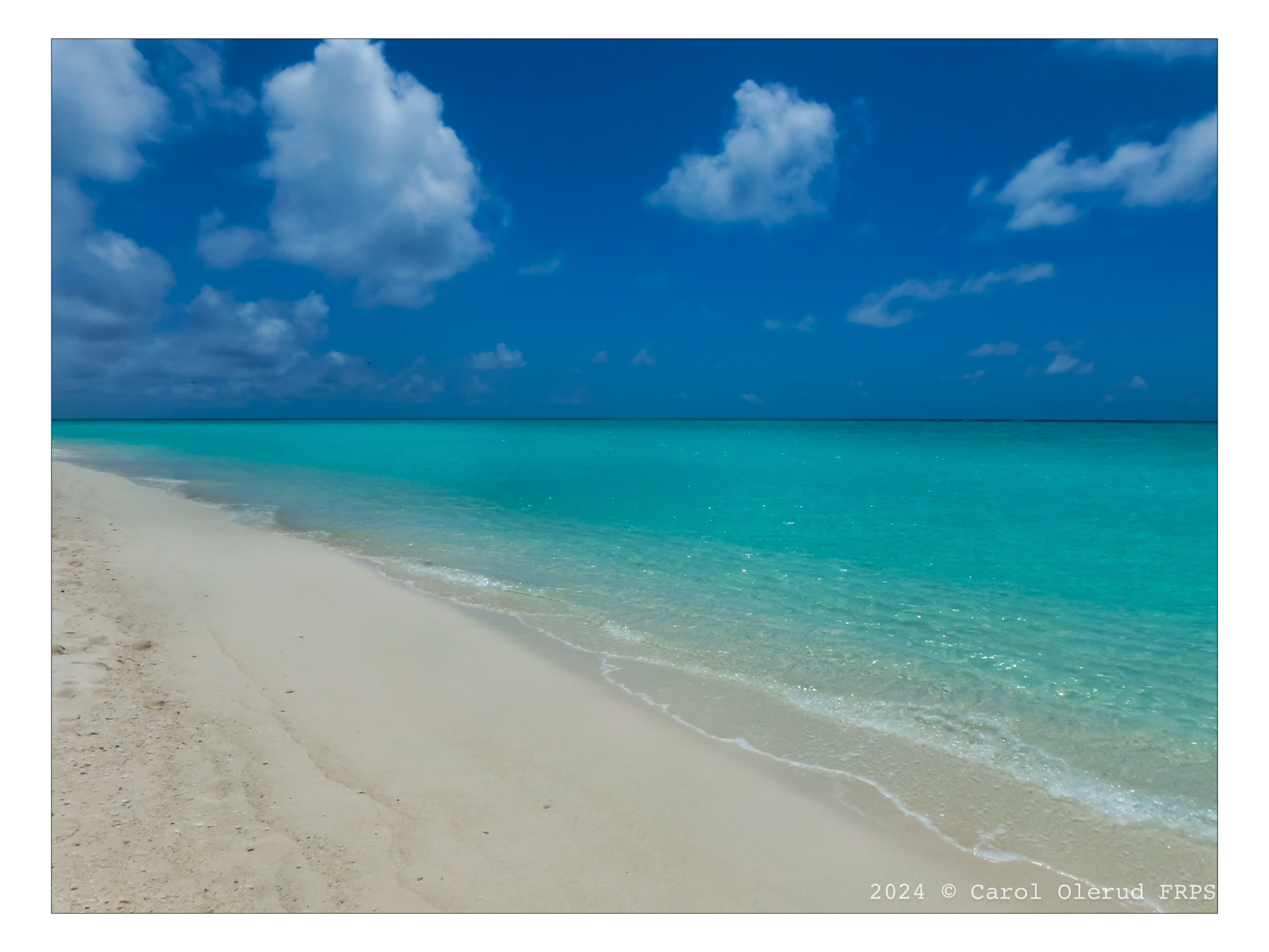 Heron Island