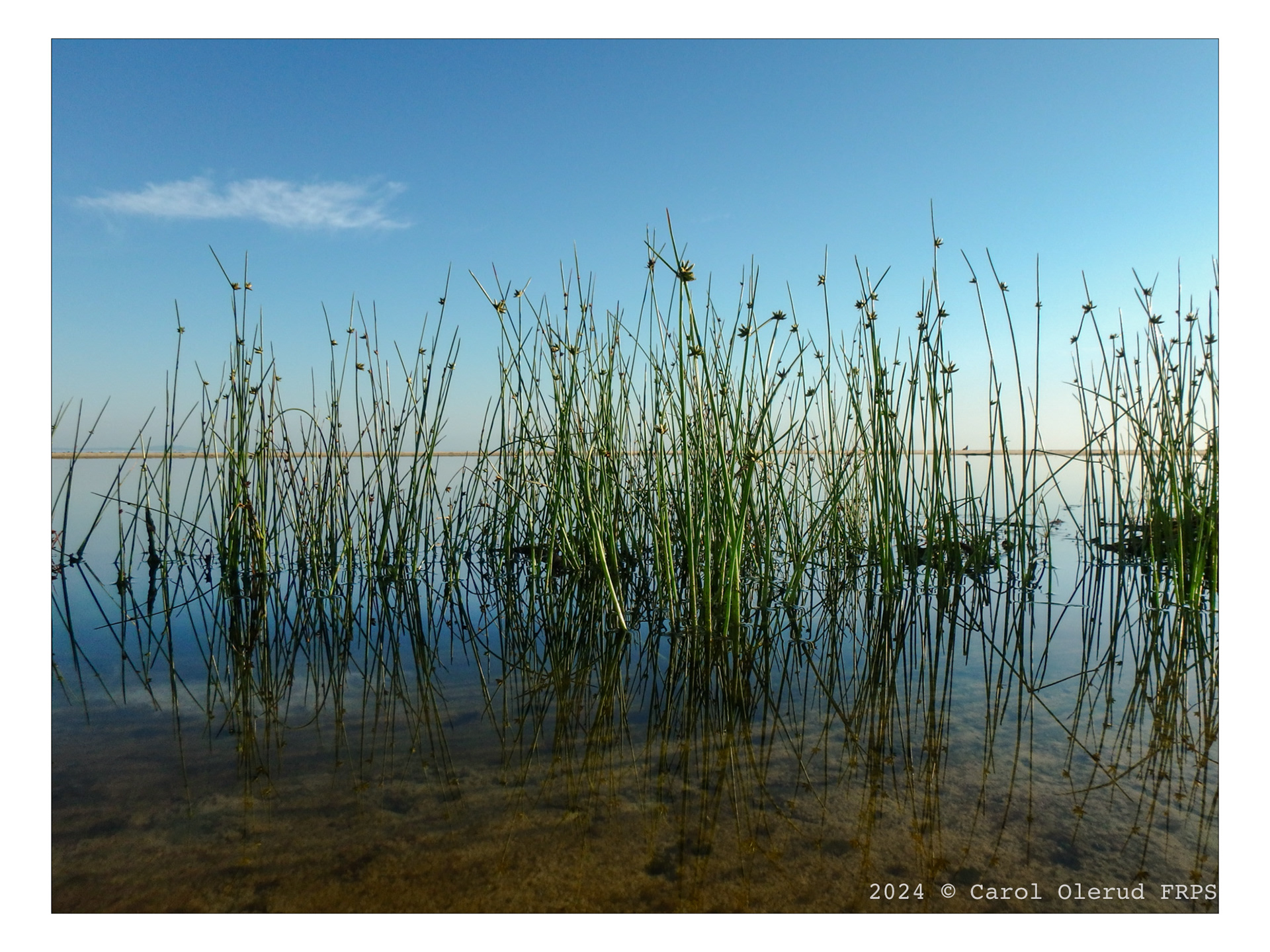 Lagoon at Cylinder Beach