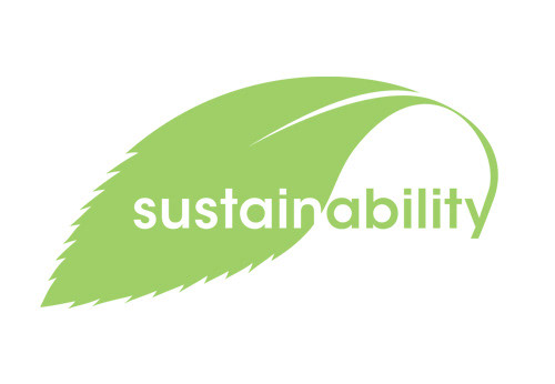 college's green initiatives