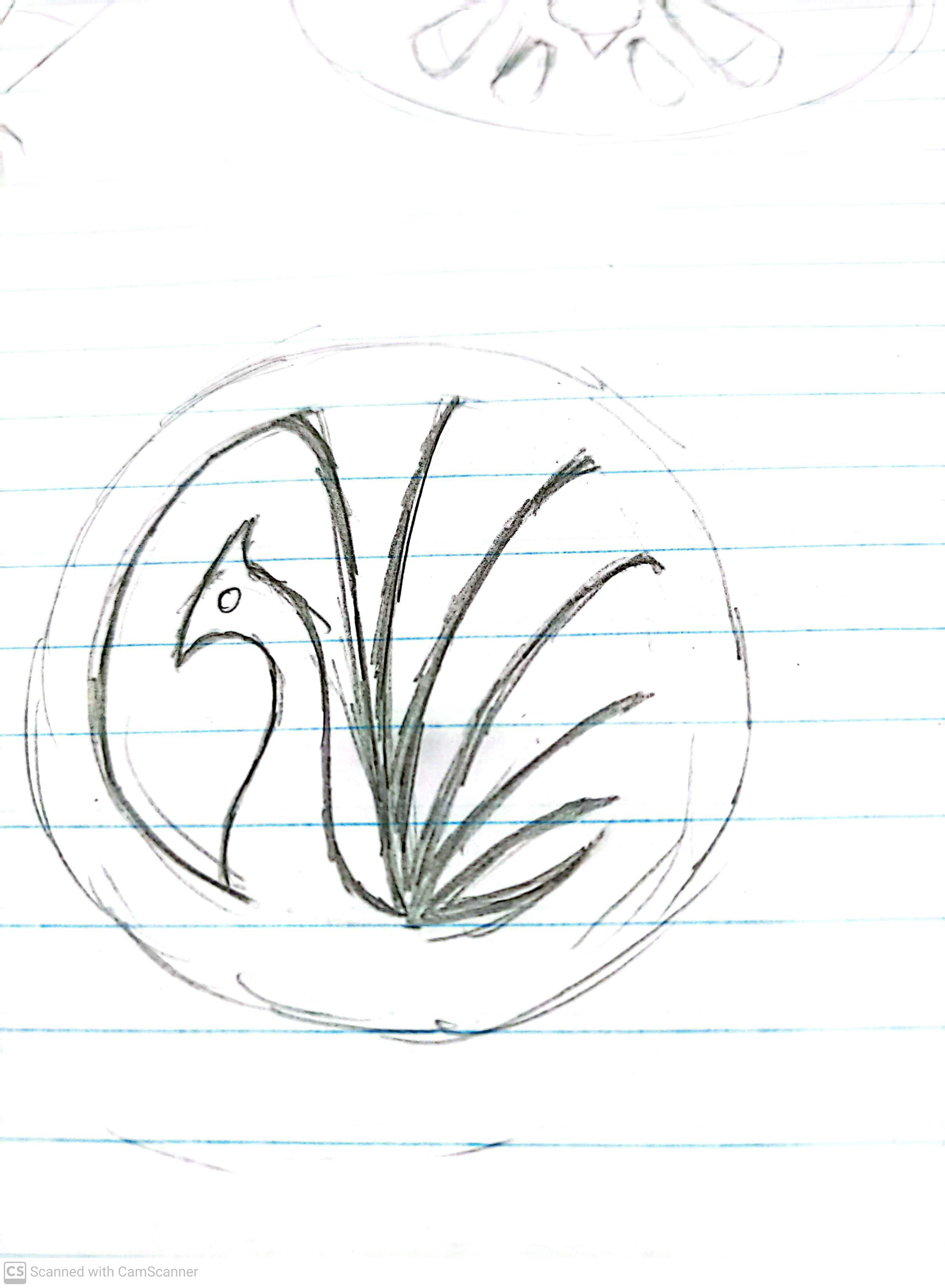 Initial Sketch