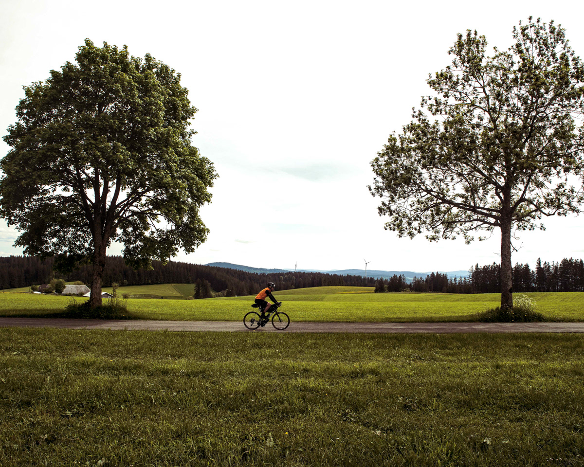 photo Igo Bartz