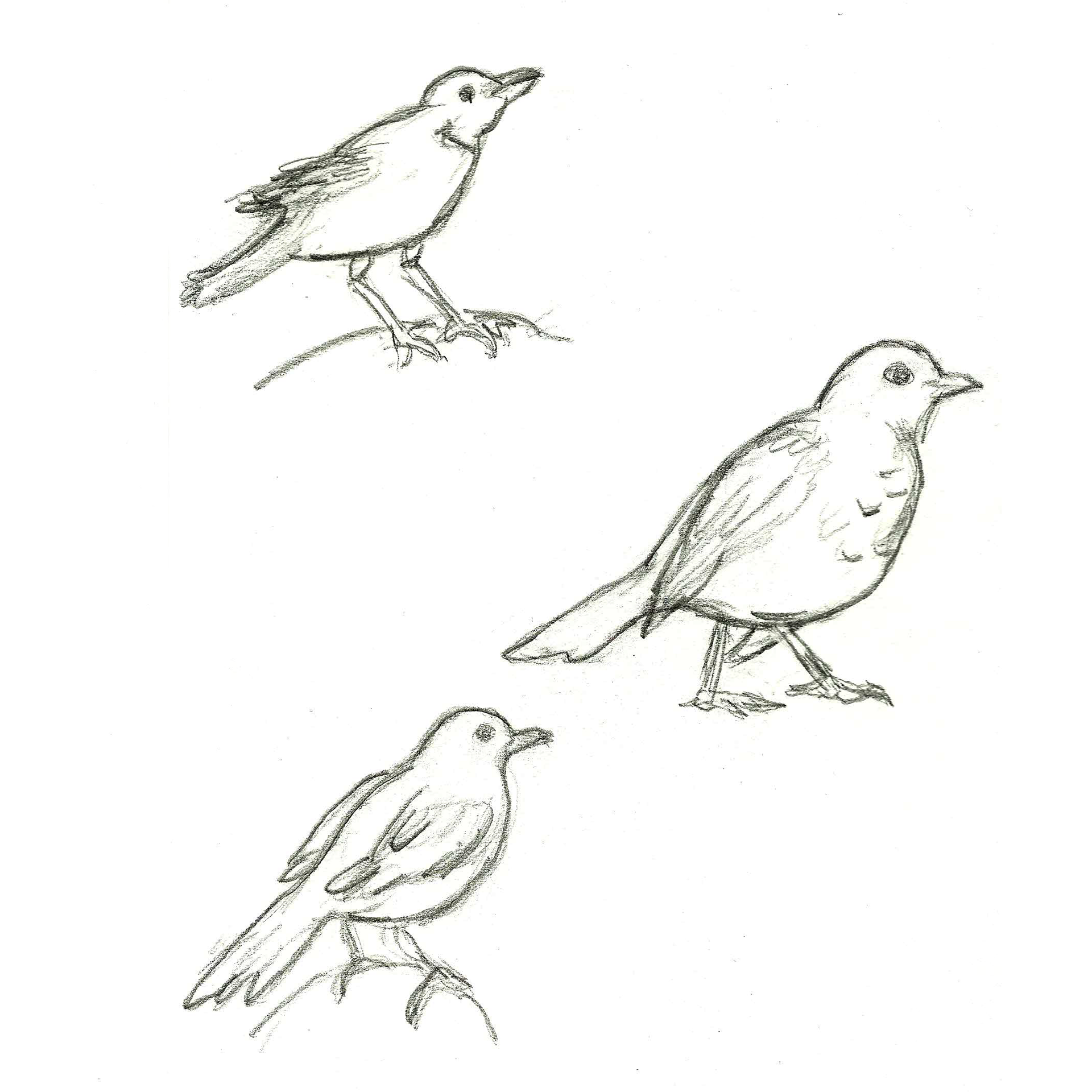 Sketches