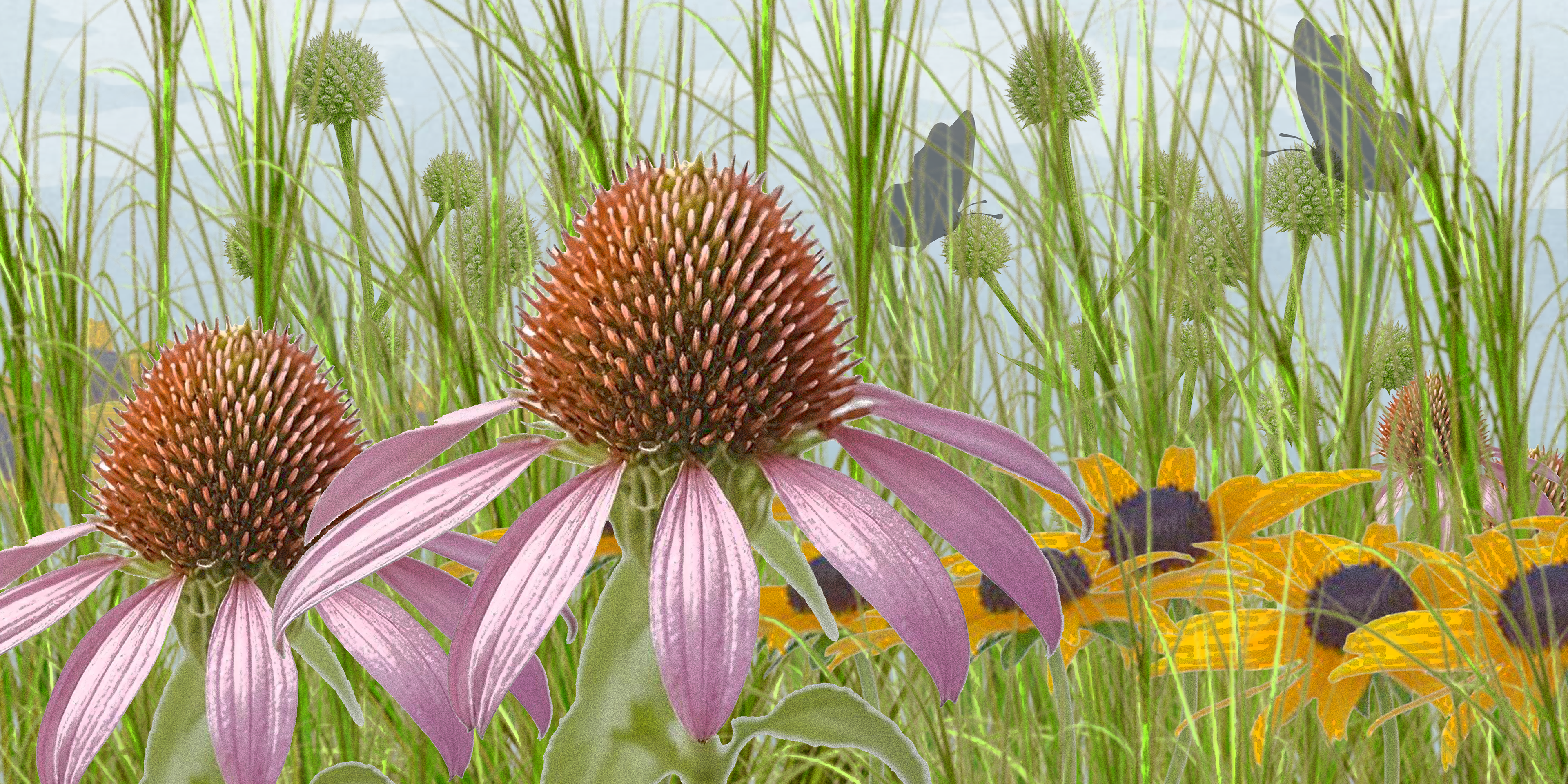 Bee in the Prairie POV