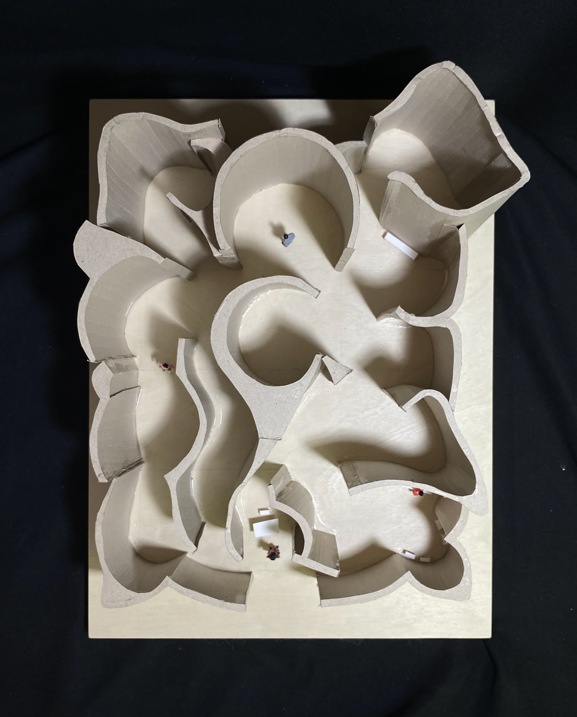 Museum of Observation Model