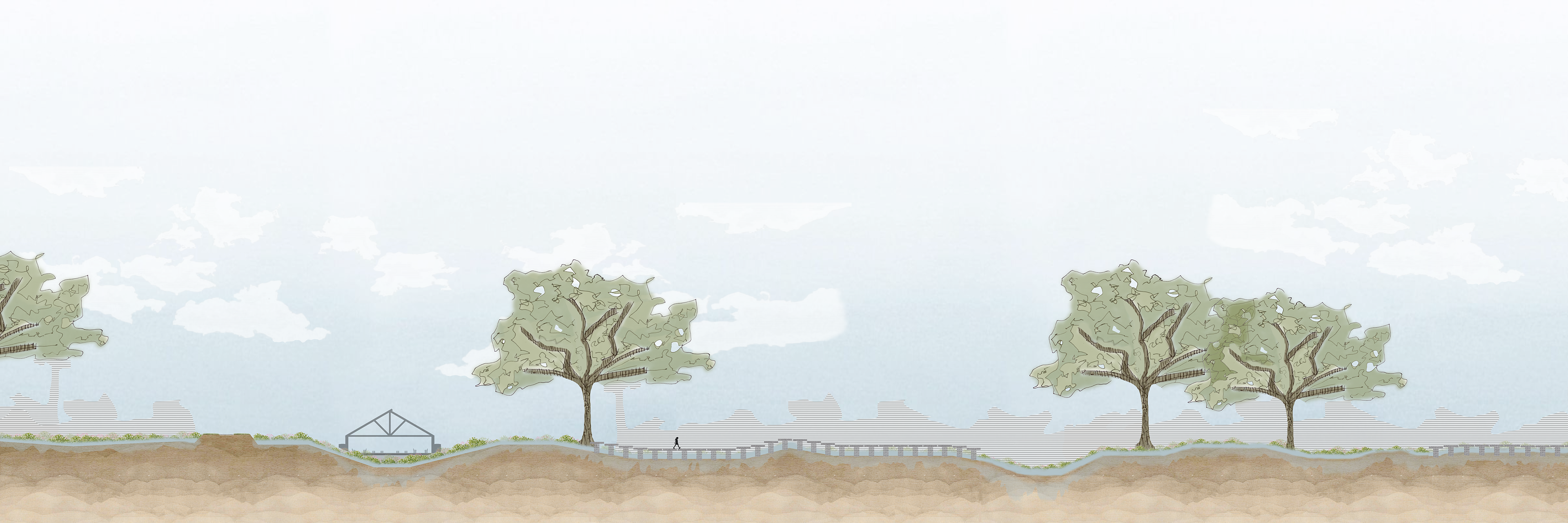 Section - Wet Season