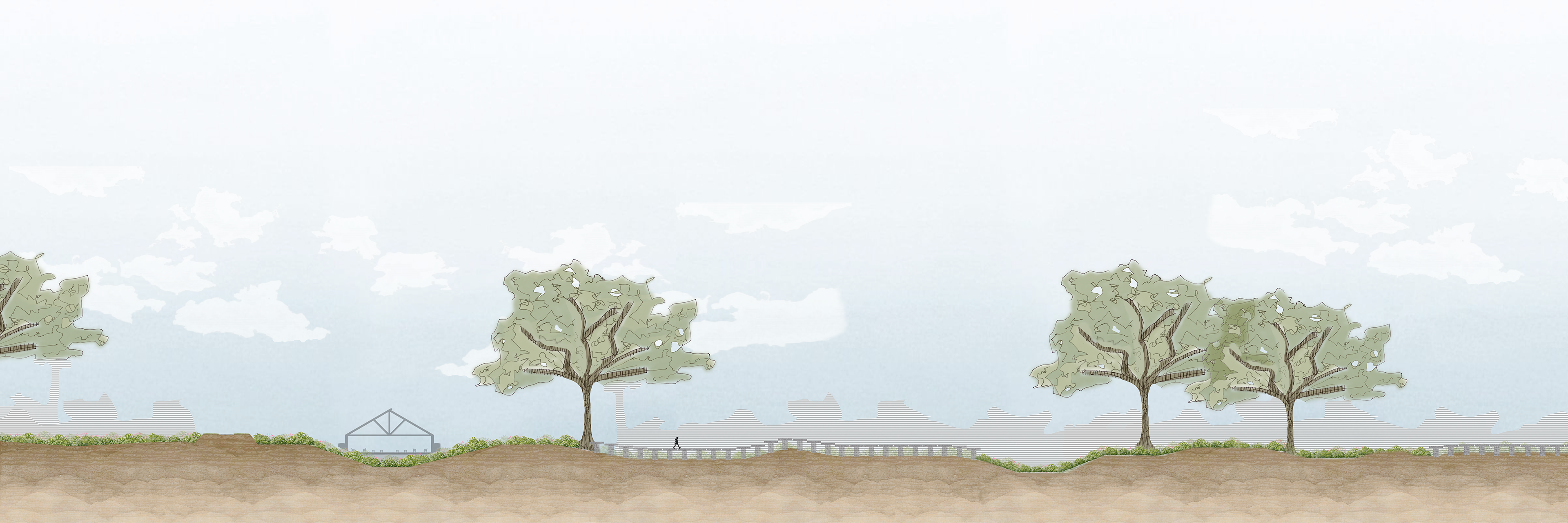 Section - Dry Season