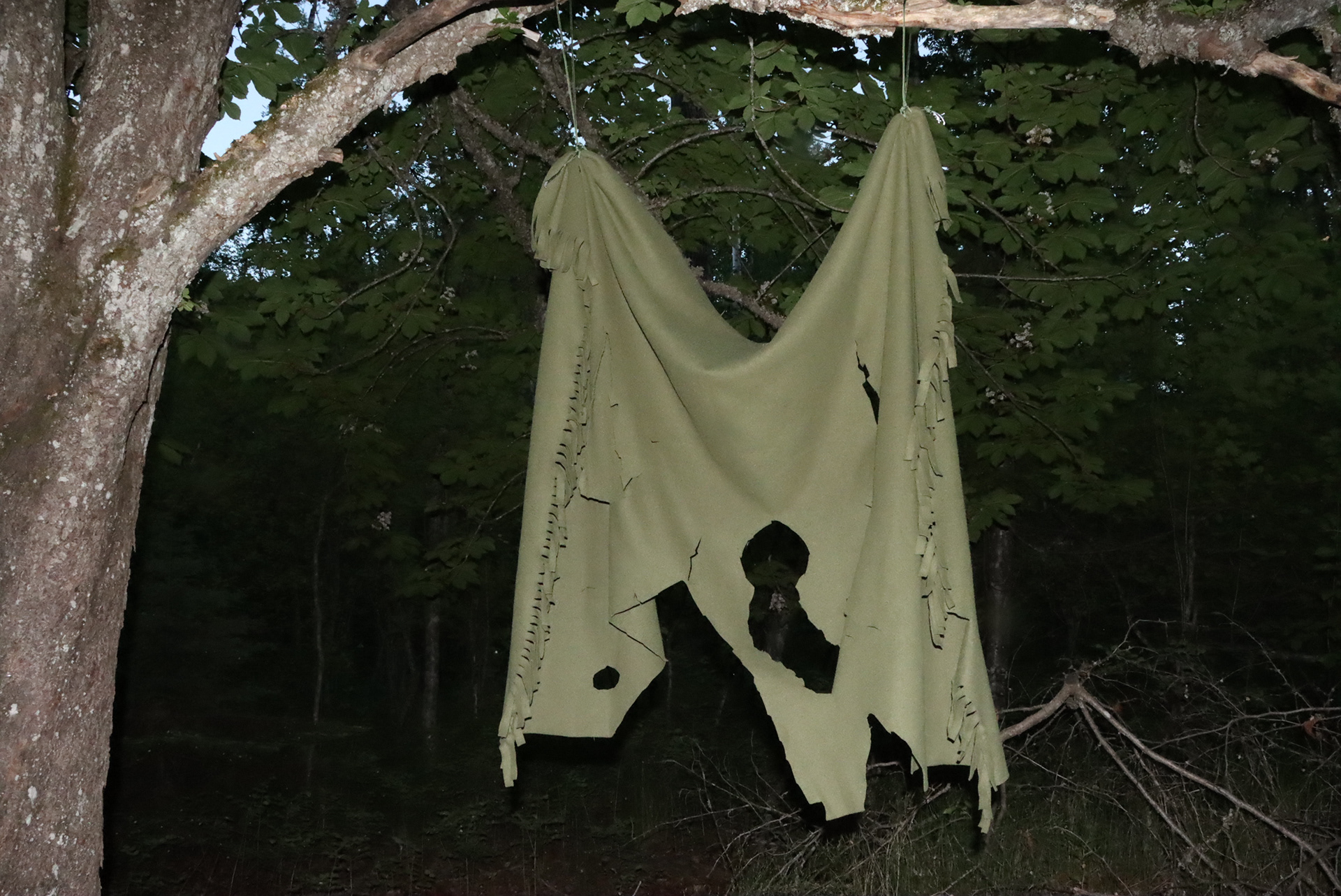 Untitled II (2025), installation, by Yolanda Ren.