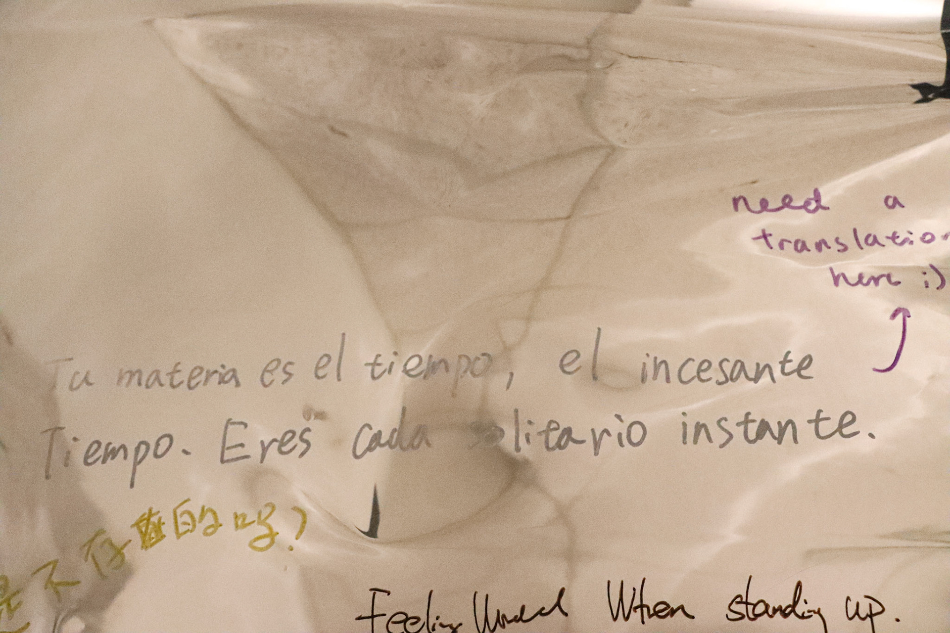 "Your matter is time, ceaseless time. You are each solitary moment."