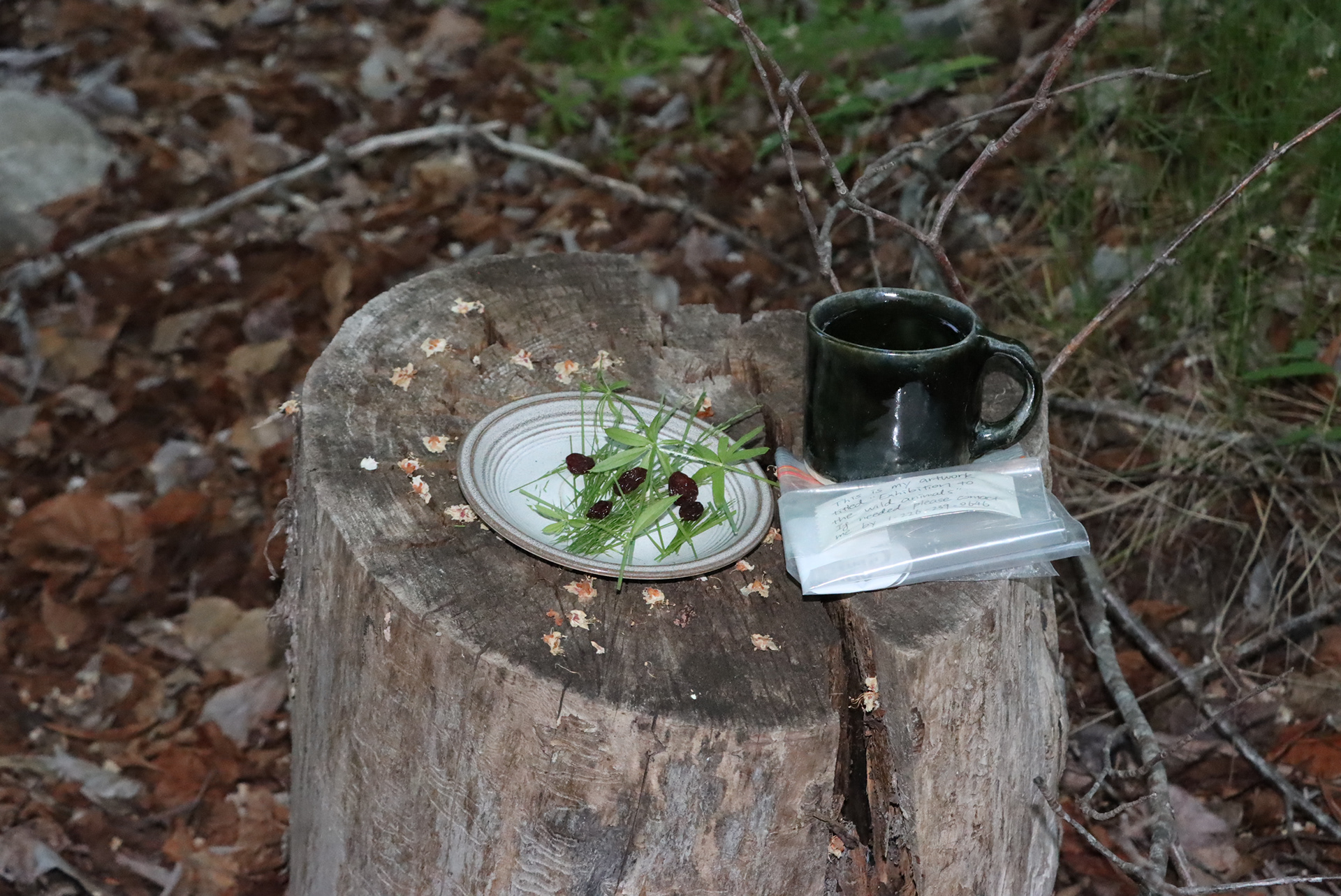 Untitled III (2025), interactive installation, by Yolanda Ren.