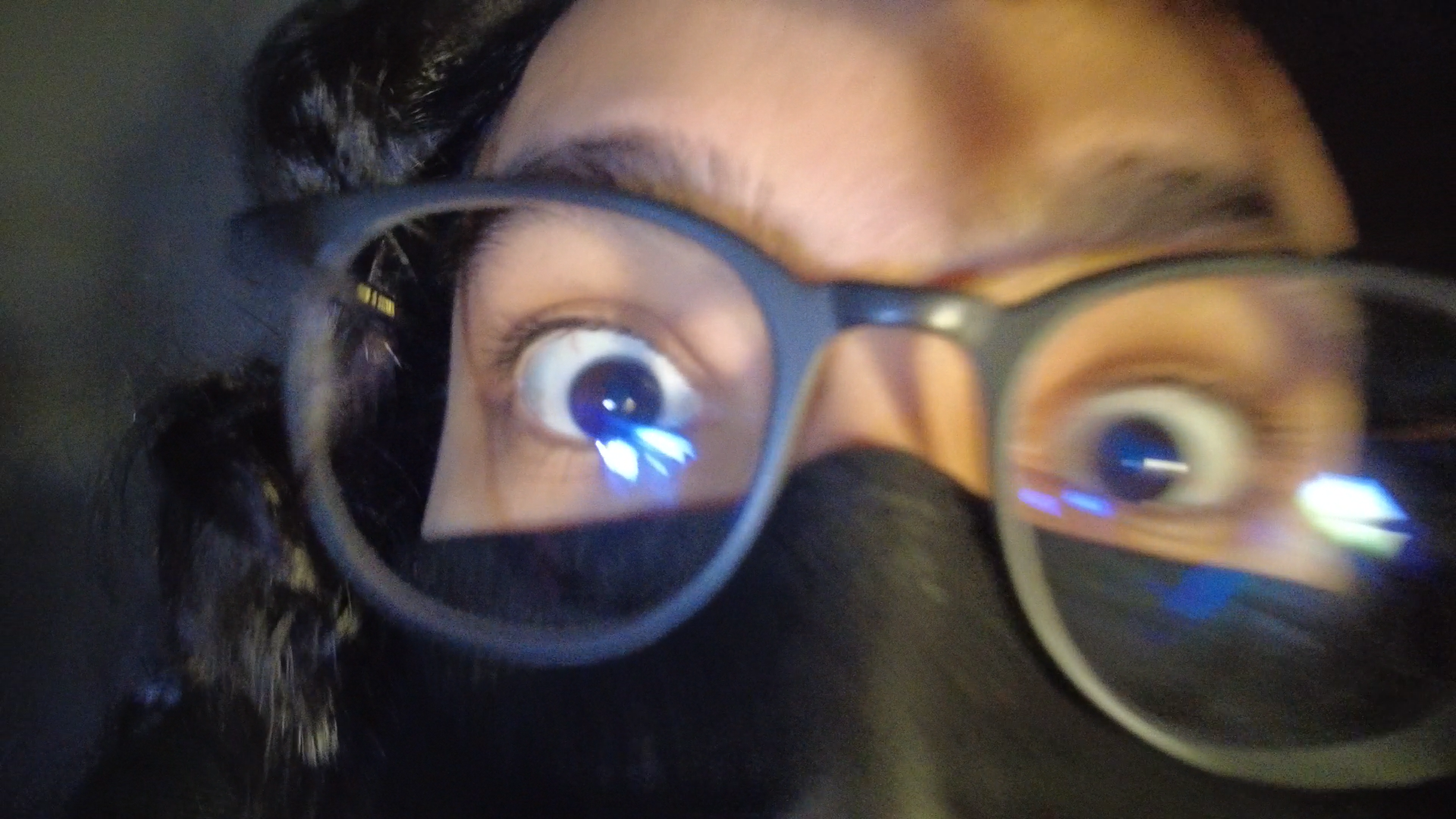 (from the pocket camera)