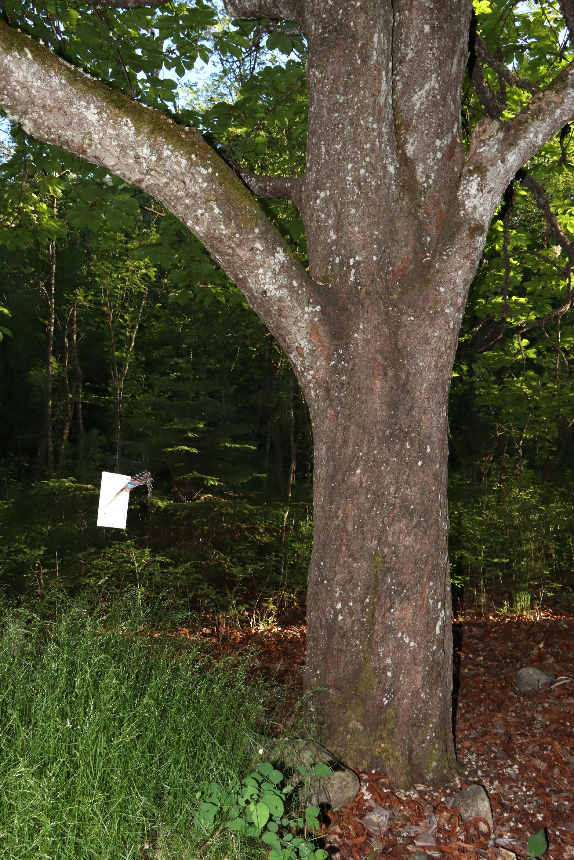 installing process documentation