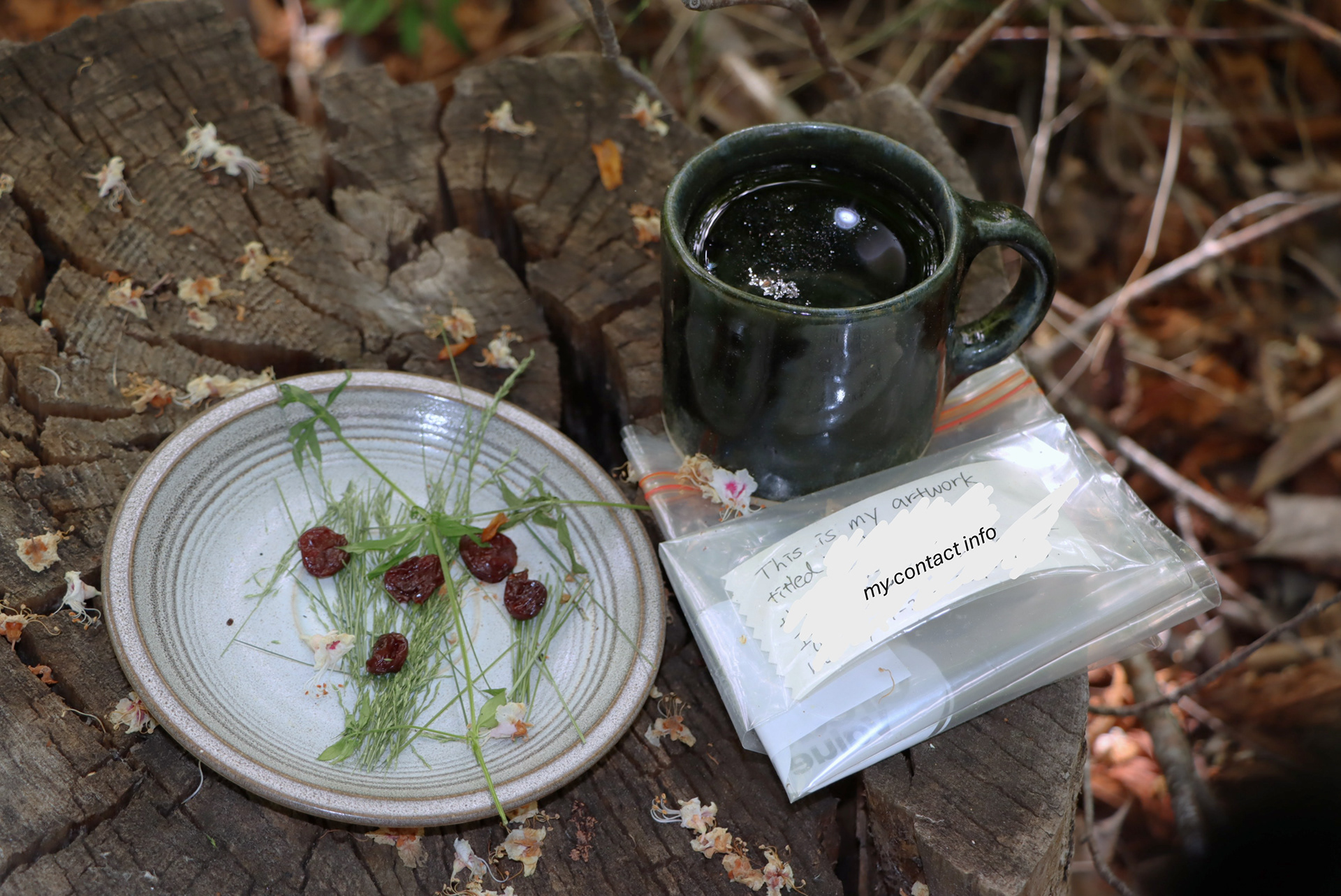 The food was barely touched (surprisingly)