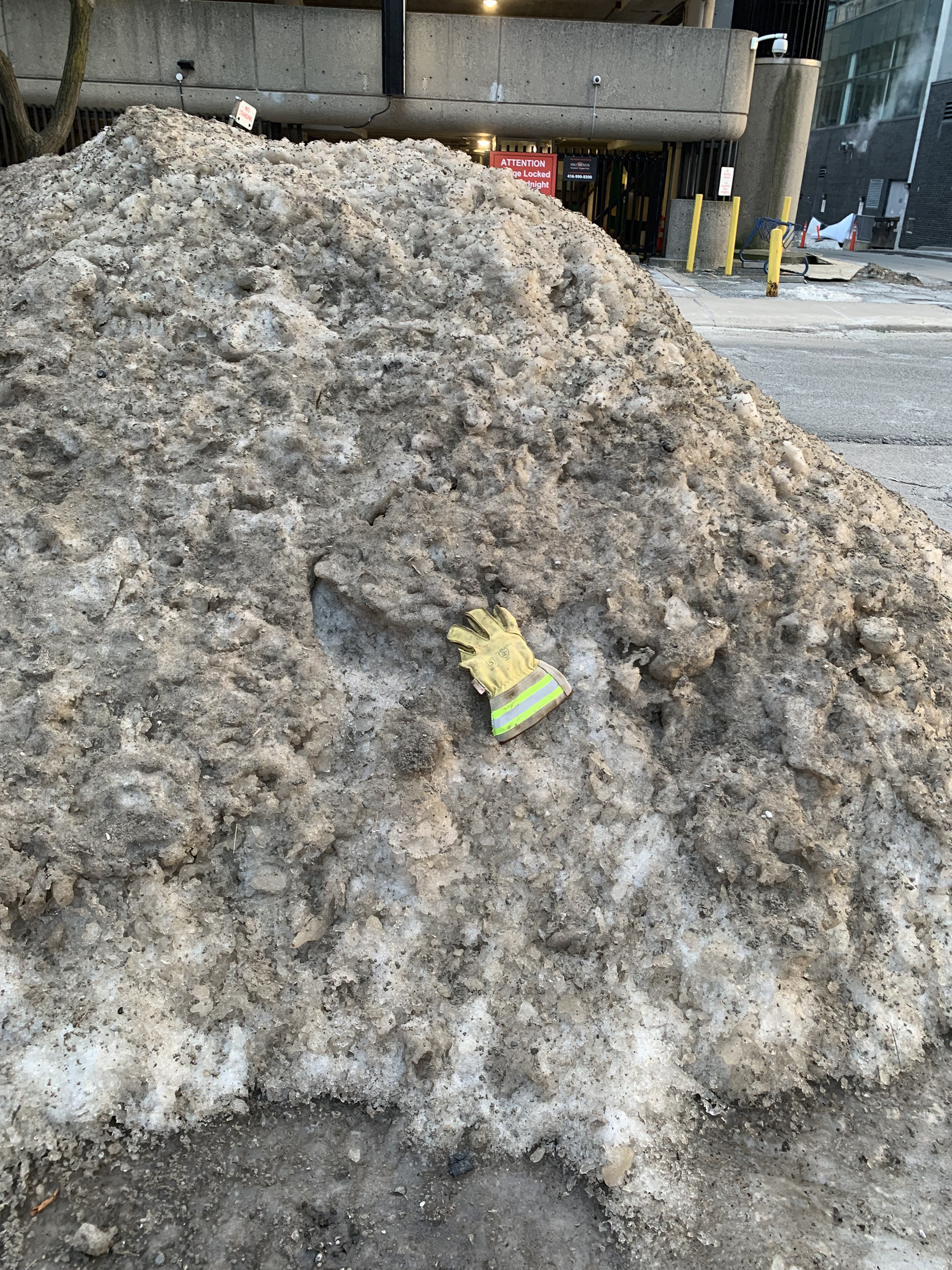 Single glove(s) that I see on the treet of Toronto, 2025 winter