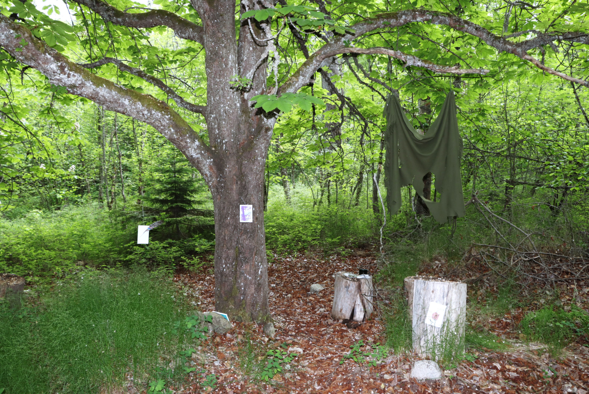 The artwork by May 31