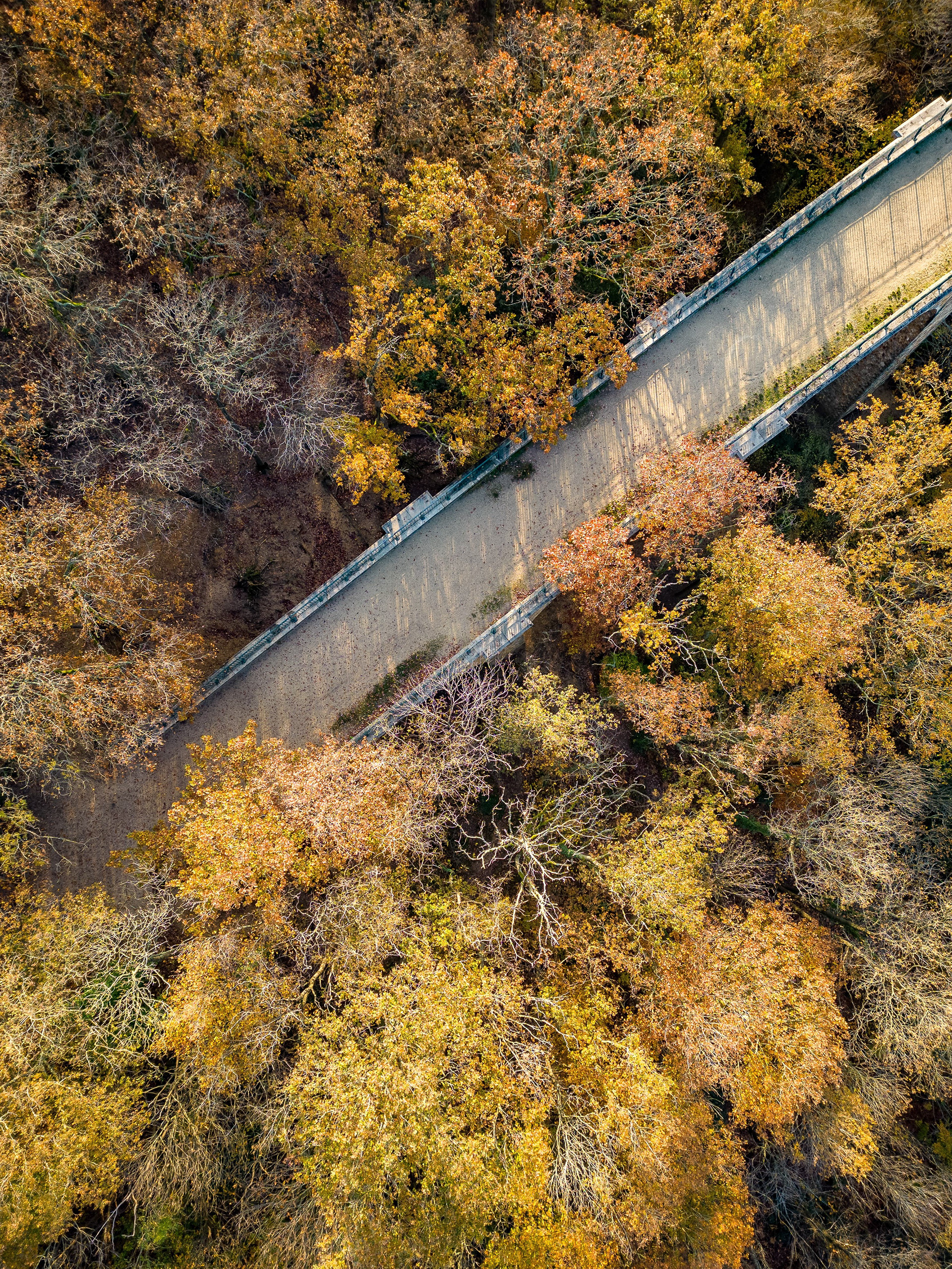 Viaduc des FAUVETTES entre BURES-SUR-YVETTE et GOMETZ-LE-CHATEL