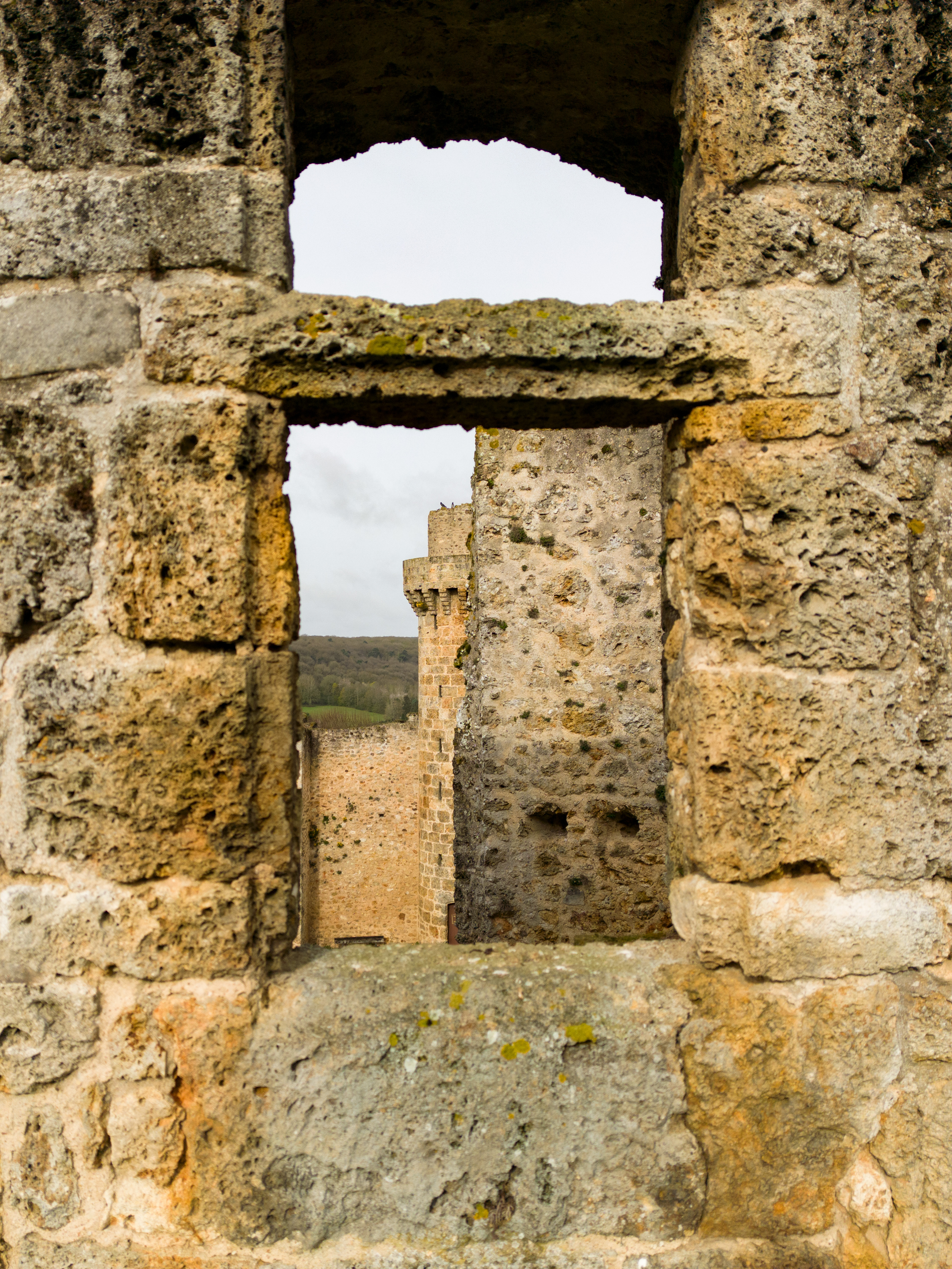 Château de la Madeleine - CHEVREUSE
