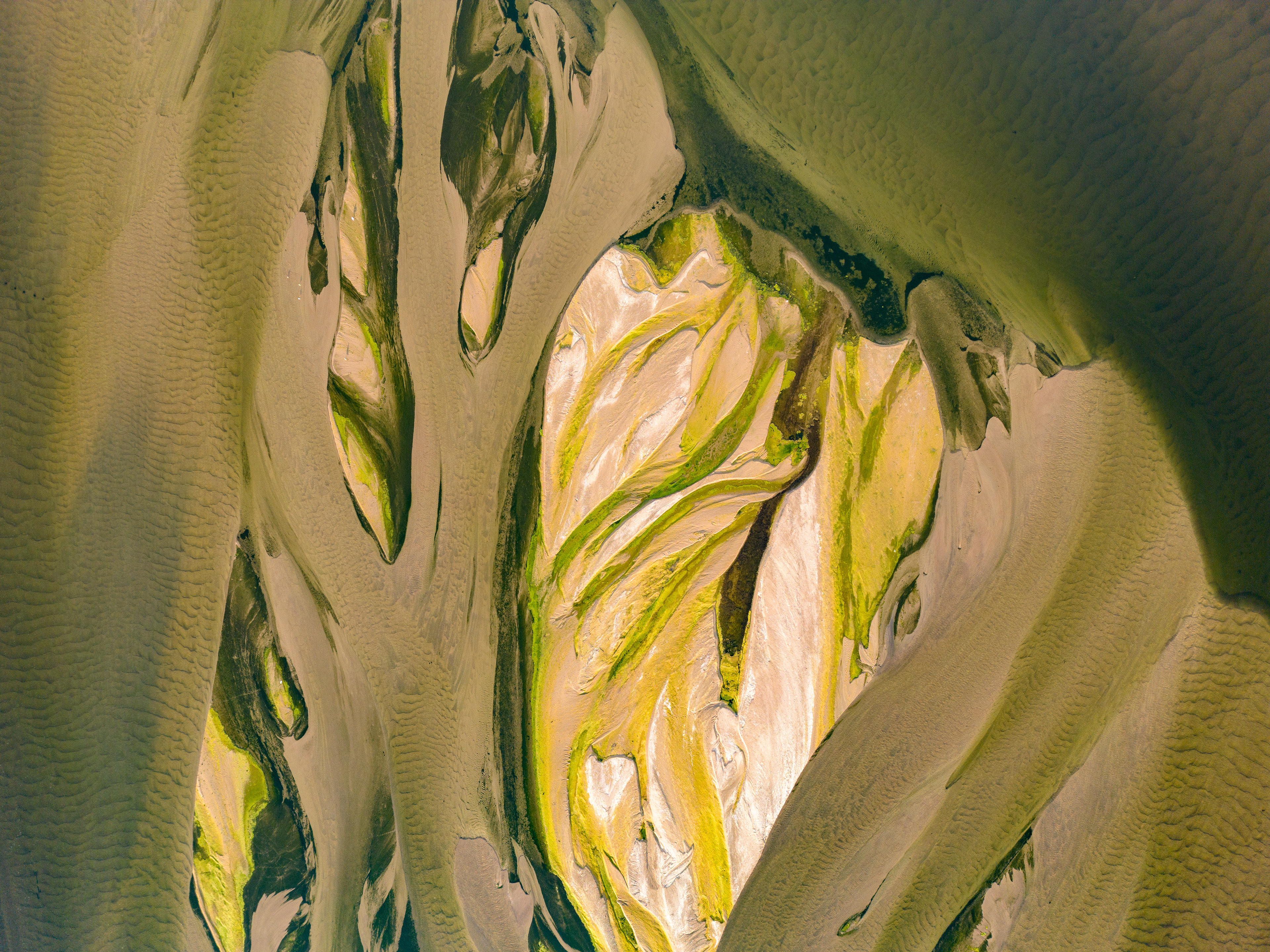 Confluence de la Maine et de la Loire - SAINTE-GEMMES-SUR-LOIRE