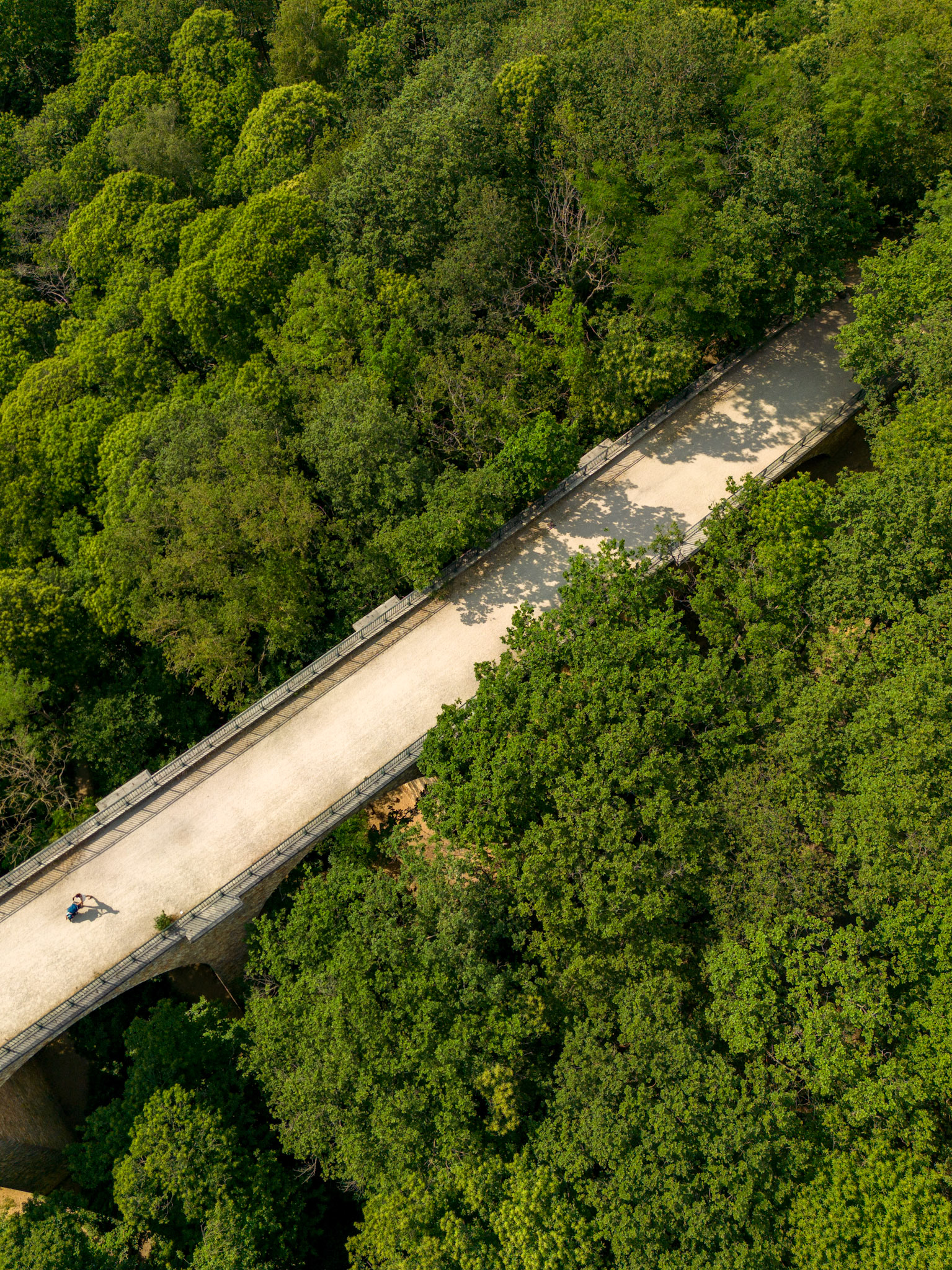 Viaduc des FAUVETTES entre BURES-SUR-YVETTE et GOMETZ-LE-CHATEL