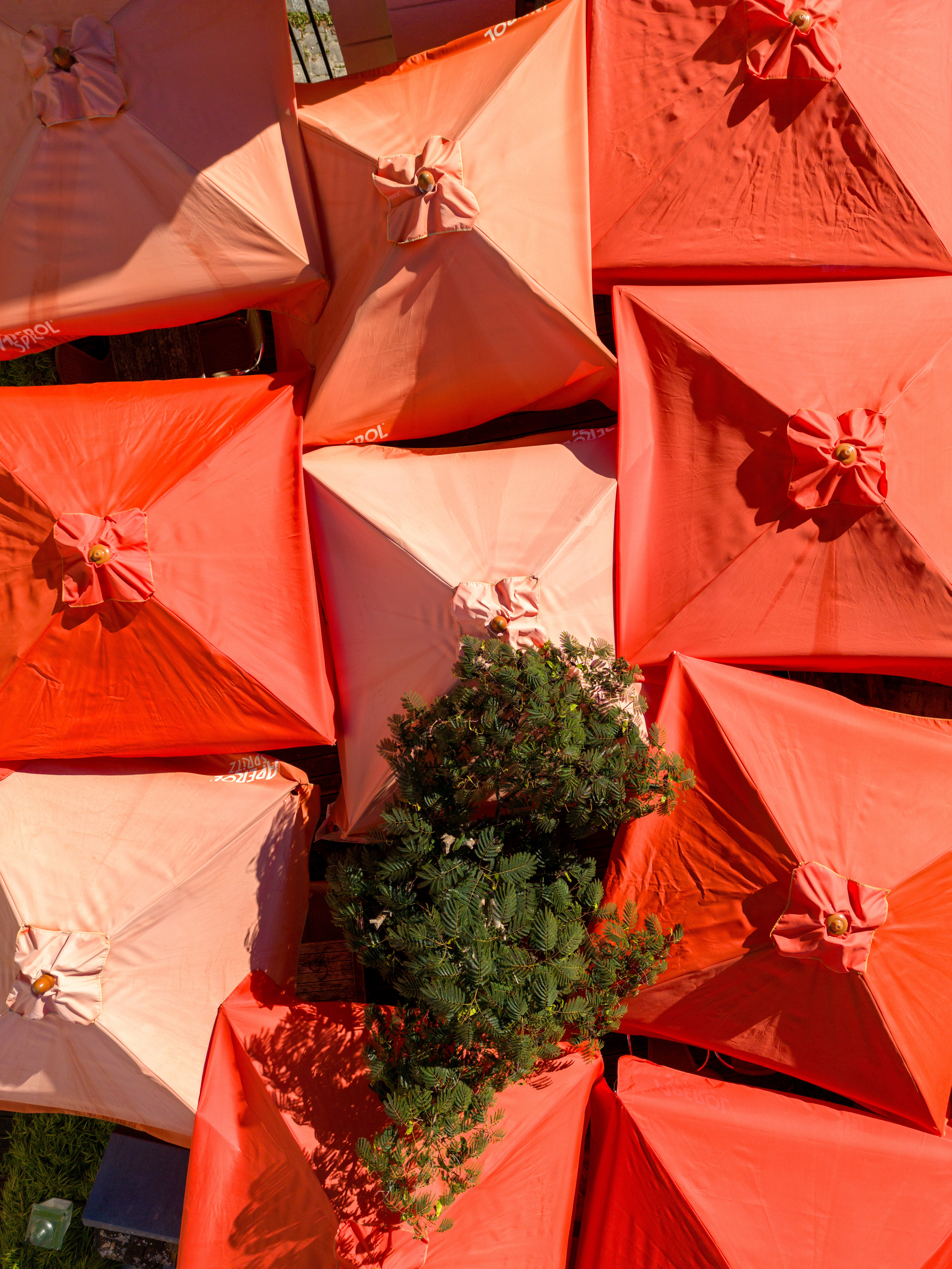 Restaurant L'île O'crêpes - GIF-SUR-YVETTE