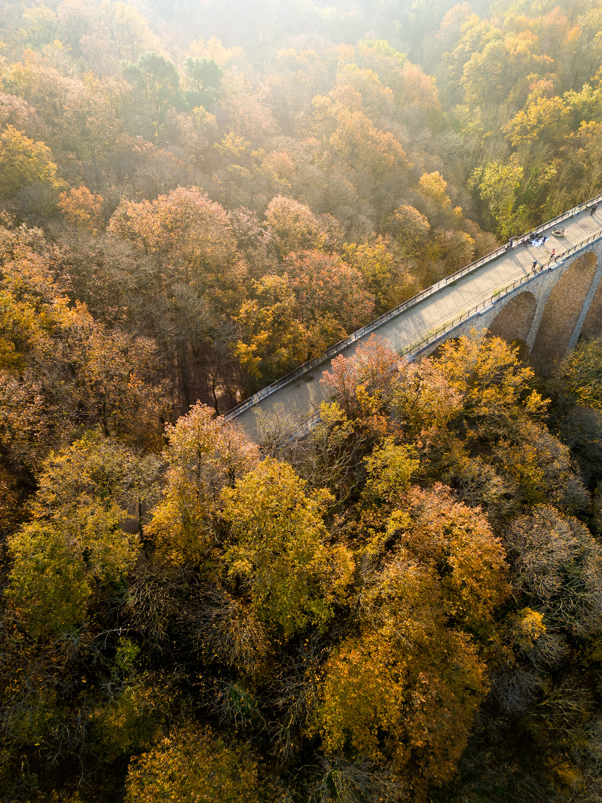 Viaduc des FAUVETTES entre BURES-SUR-YVETTE et GOMETZ-LE-CHATEL