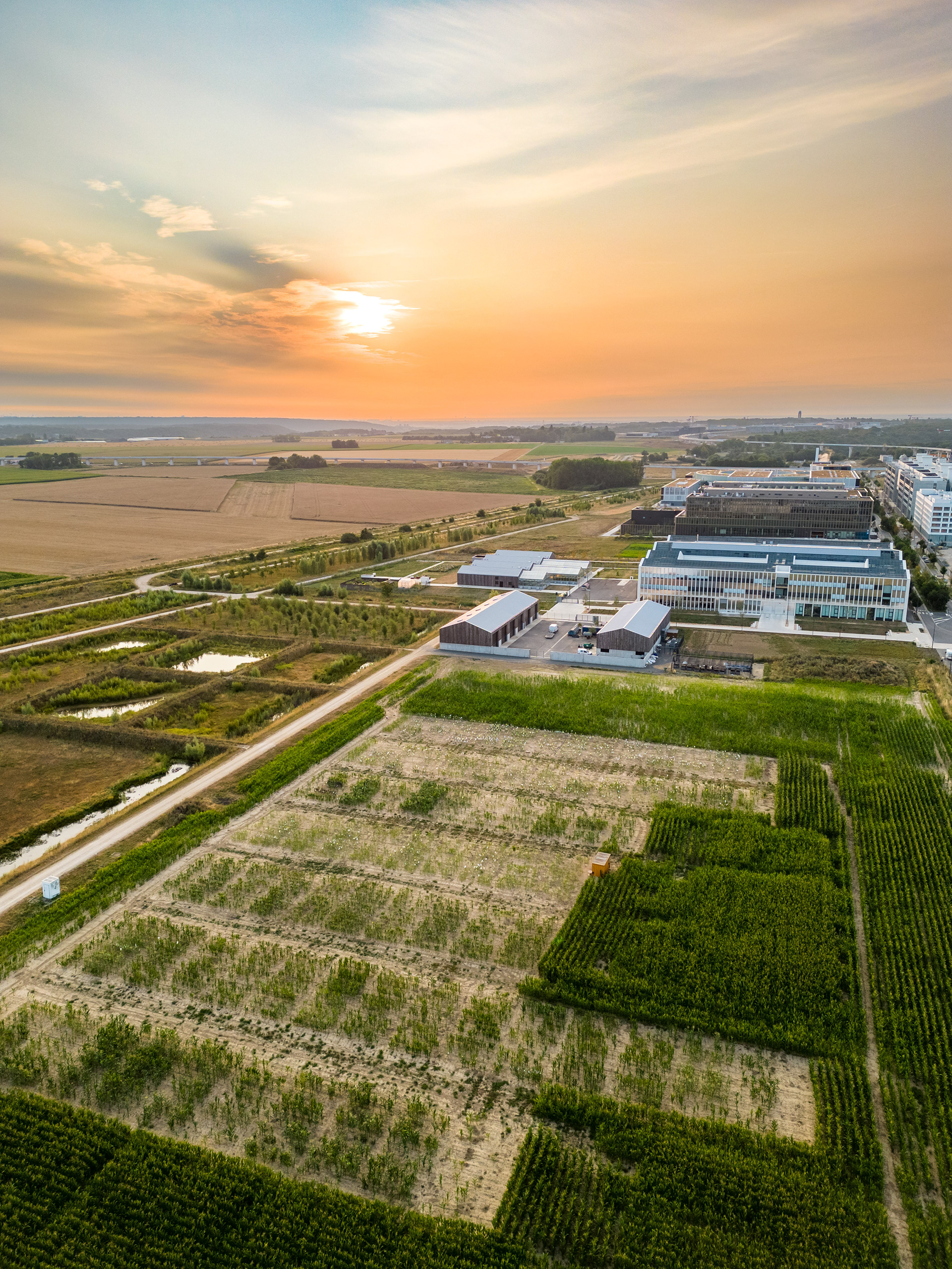 GIF-SUR-YVETTE - Plateau de Moulon