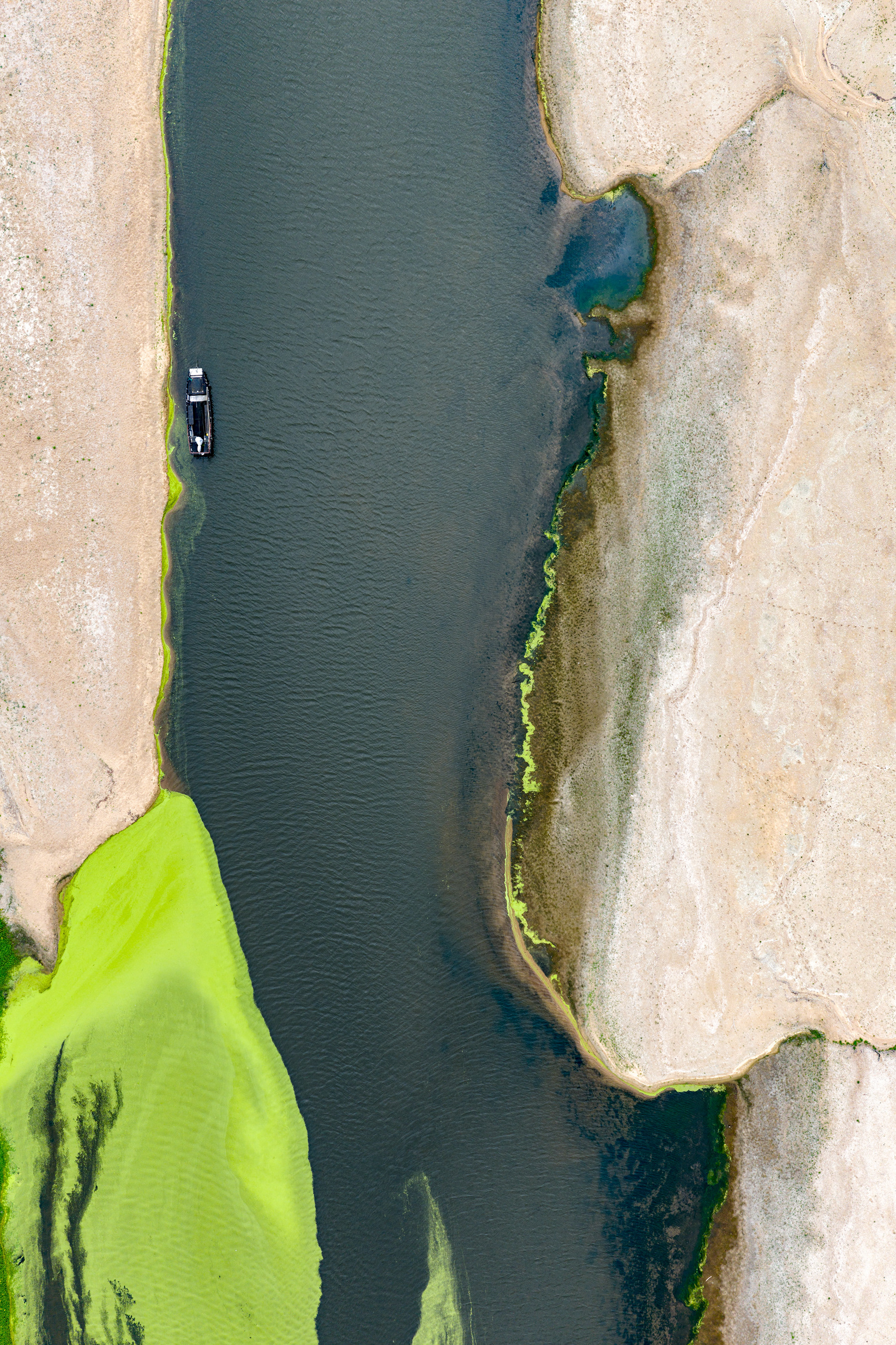 SAINTE-GEMMES-SUR-LOIRE