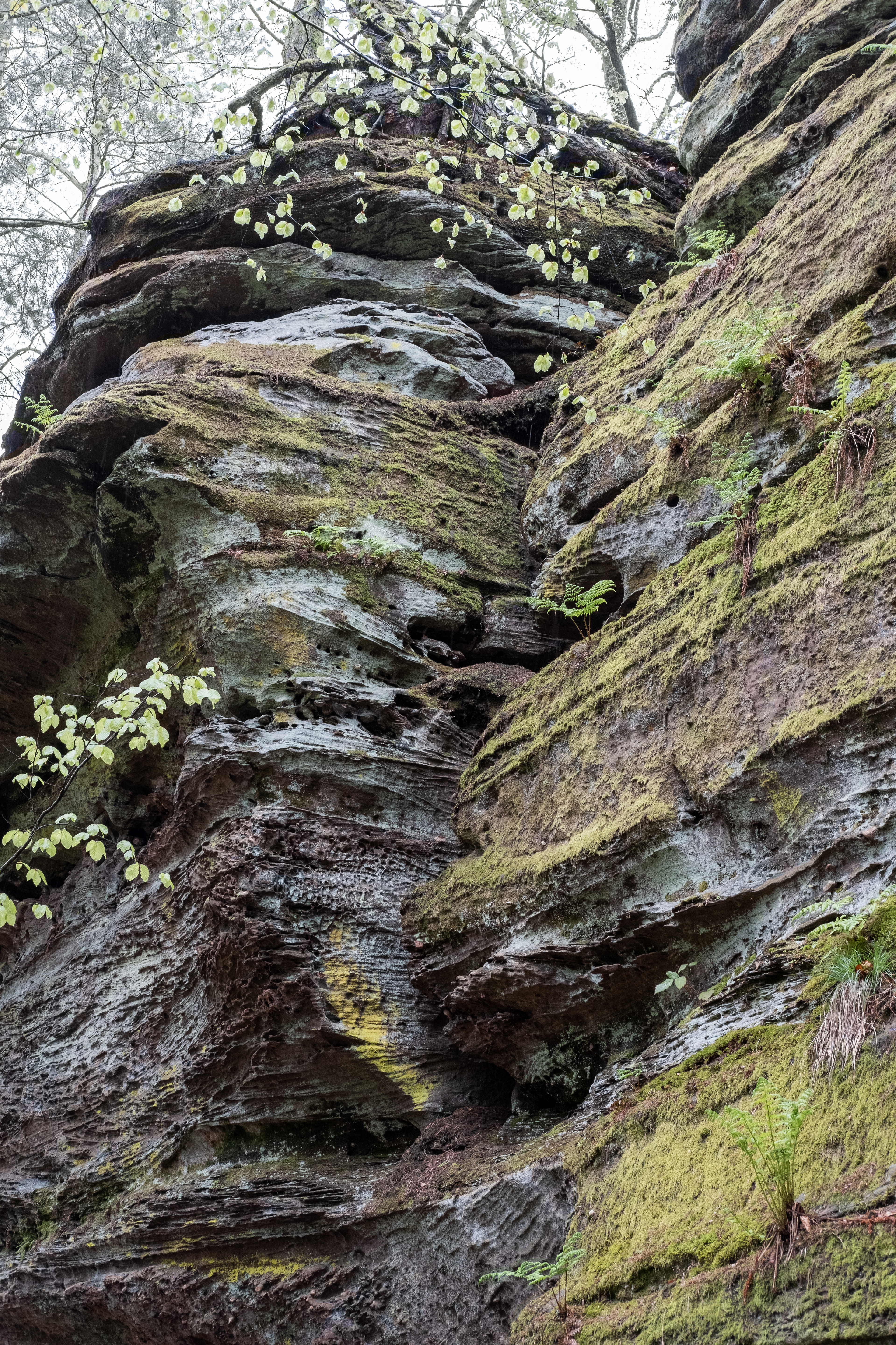 ROCHER DE L'ALTSCHLOSSFELSEN OU "LE PETIT COLORADO"