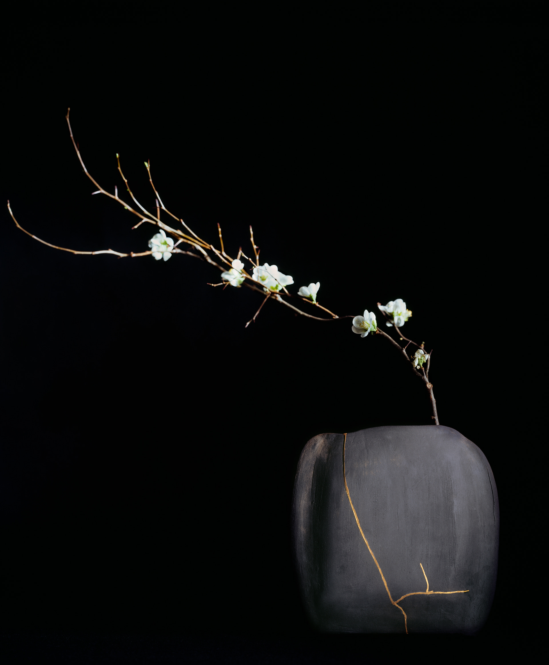 FLORAISON